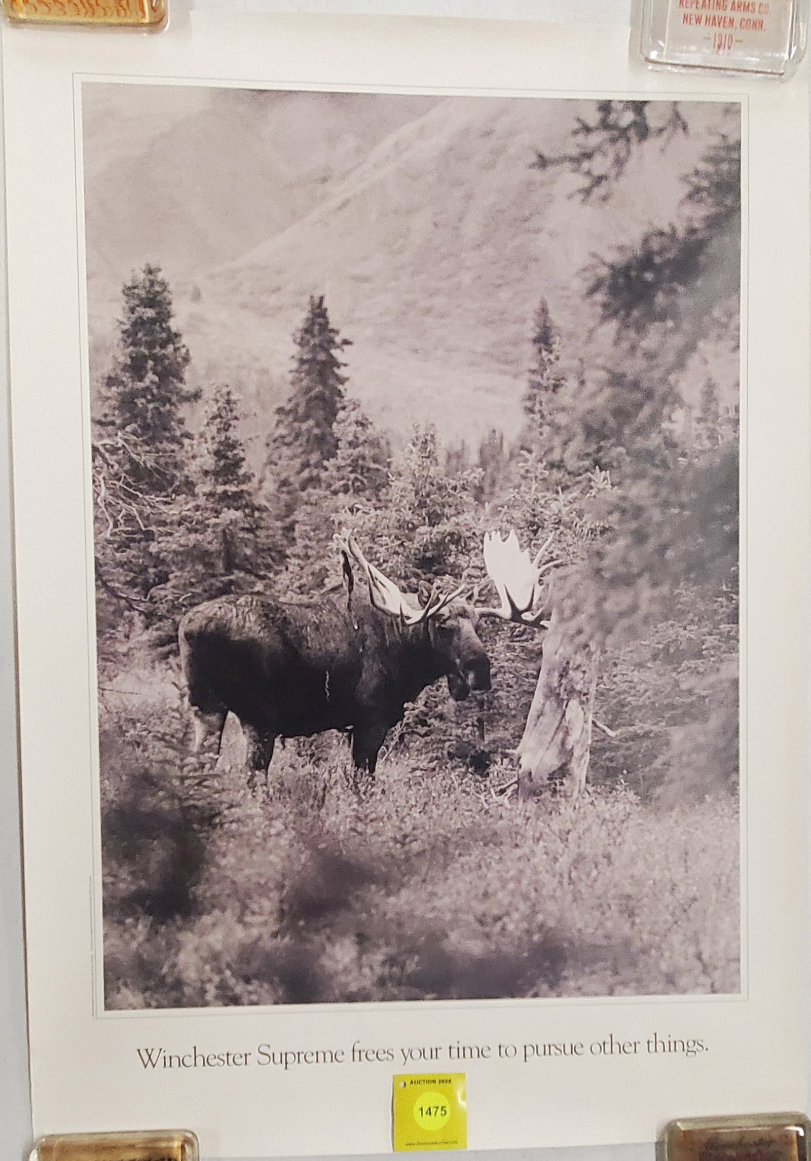 Winchester Moose paperback poster: Winchester Moose paperback poster