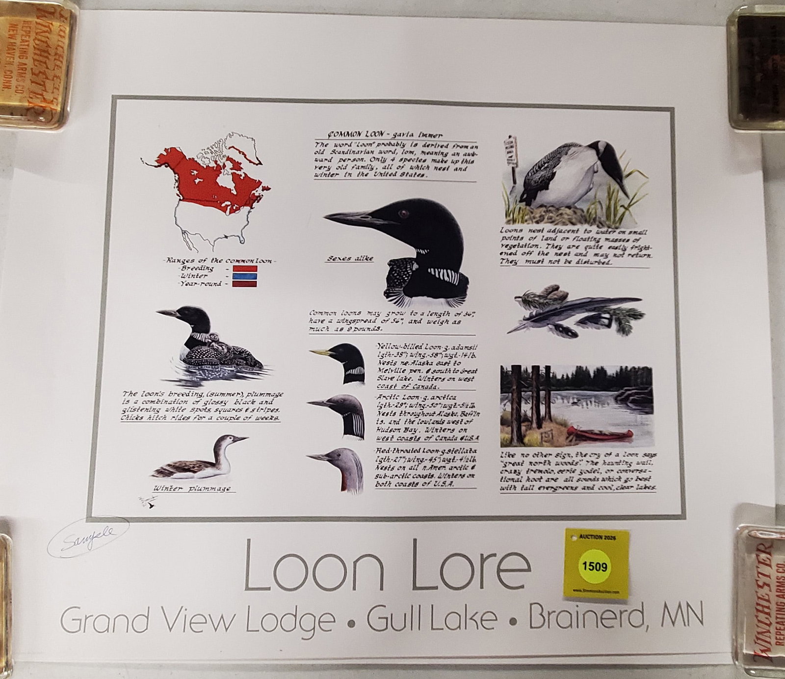 Lot of 2, Loon Lore posters (1 of 1)