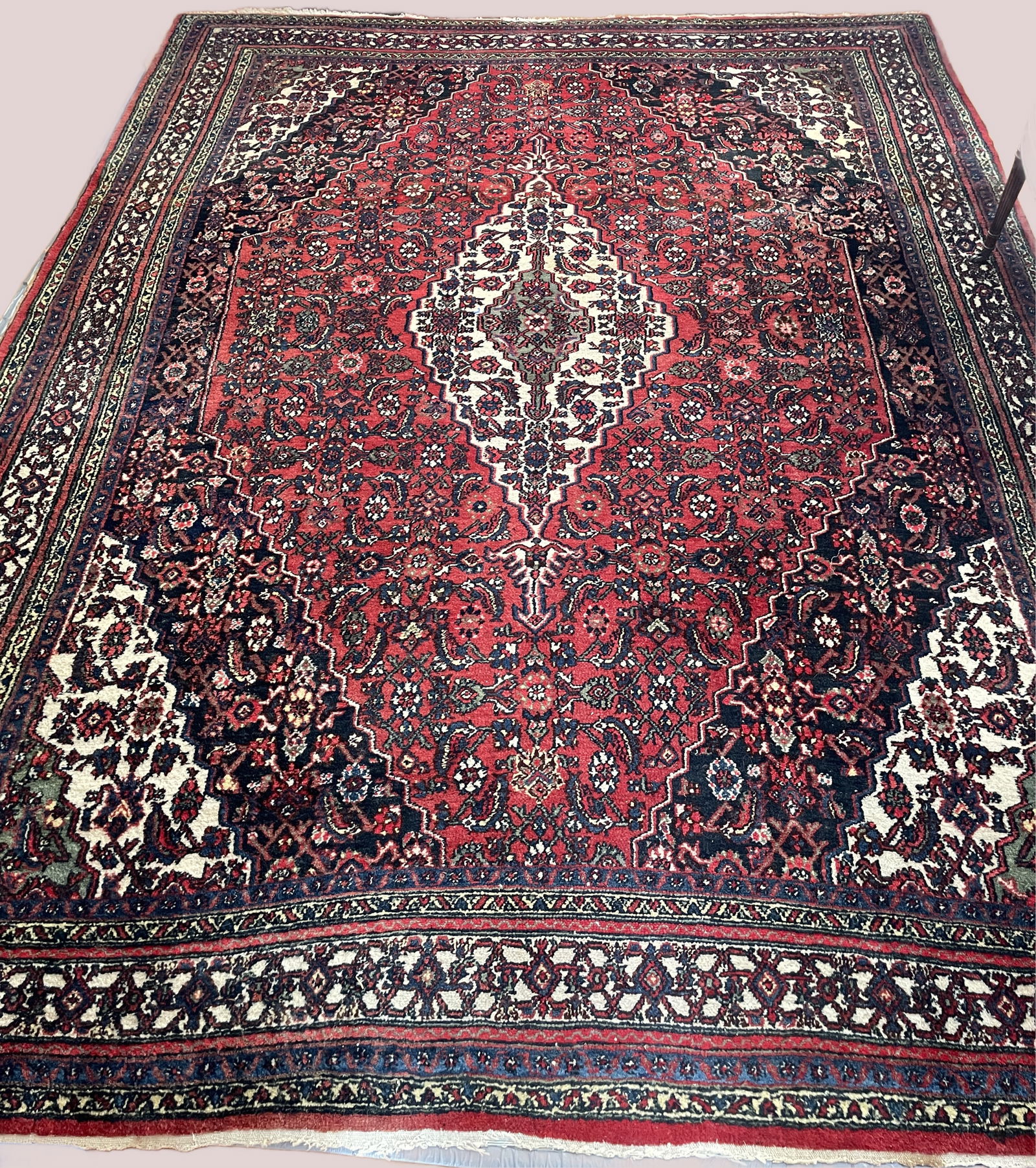 Vintage Persian Bidjar rug (1 of 15)