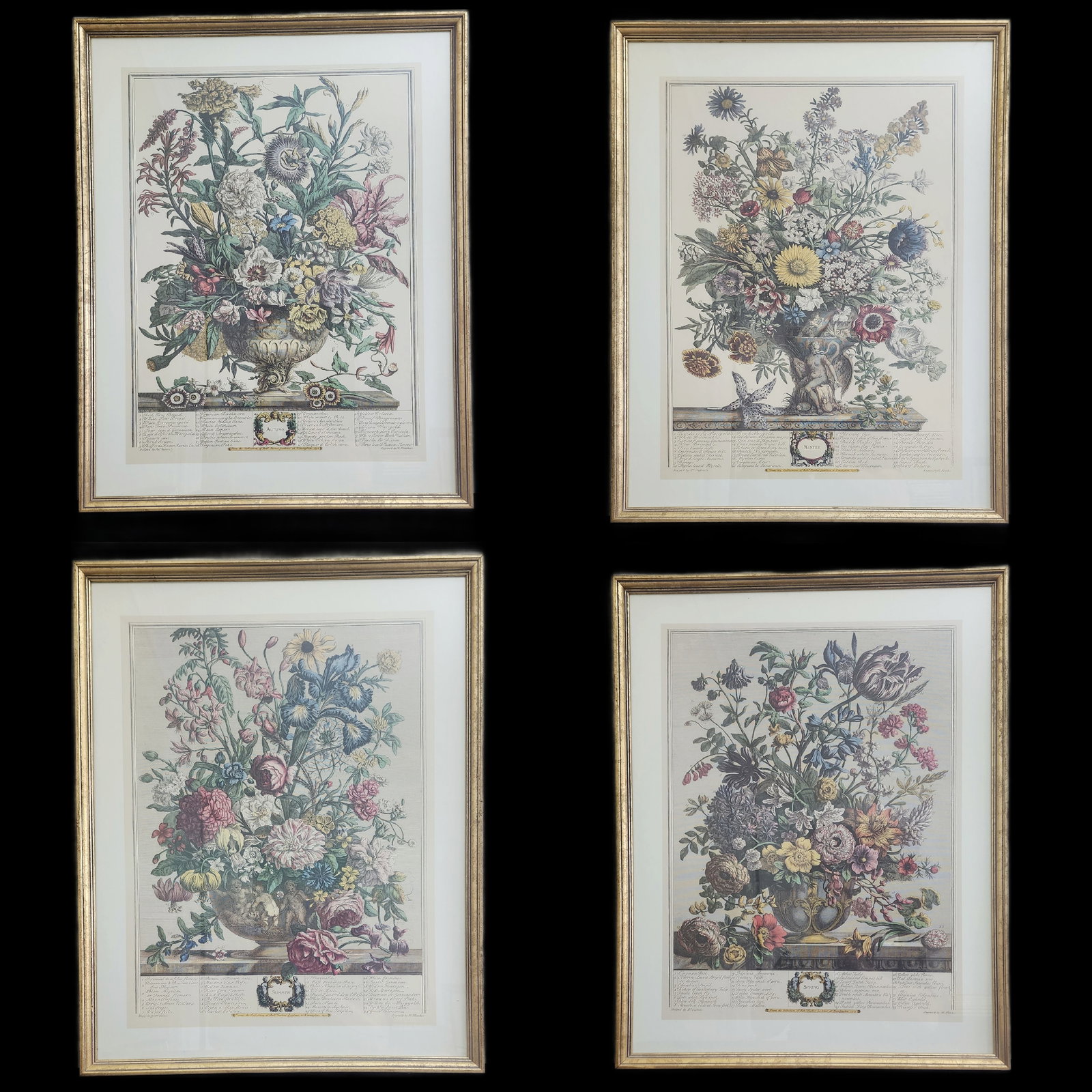 Framed botanical prints of the Four Seasons from the "Twelve Months of Flowers" series (1 of 12)