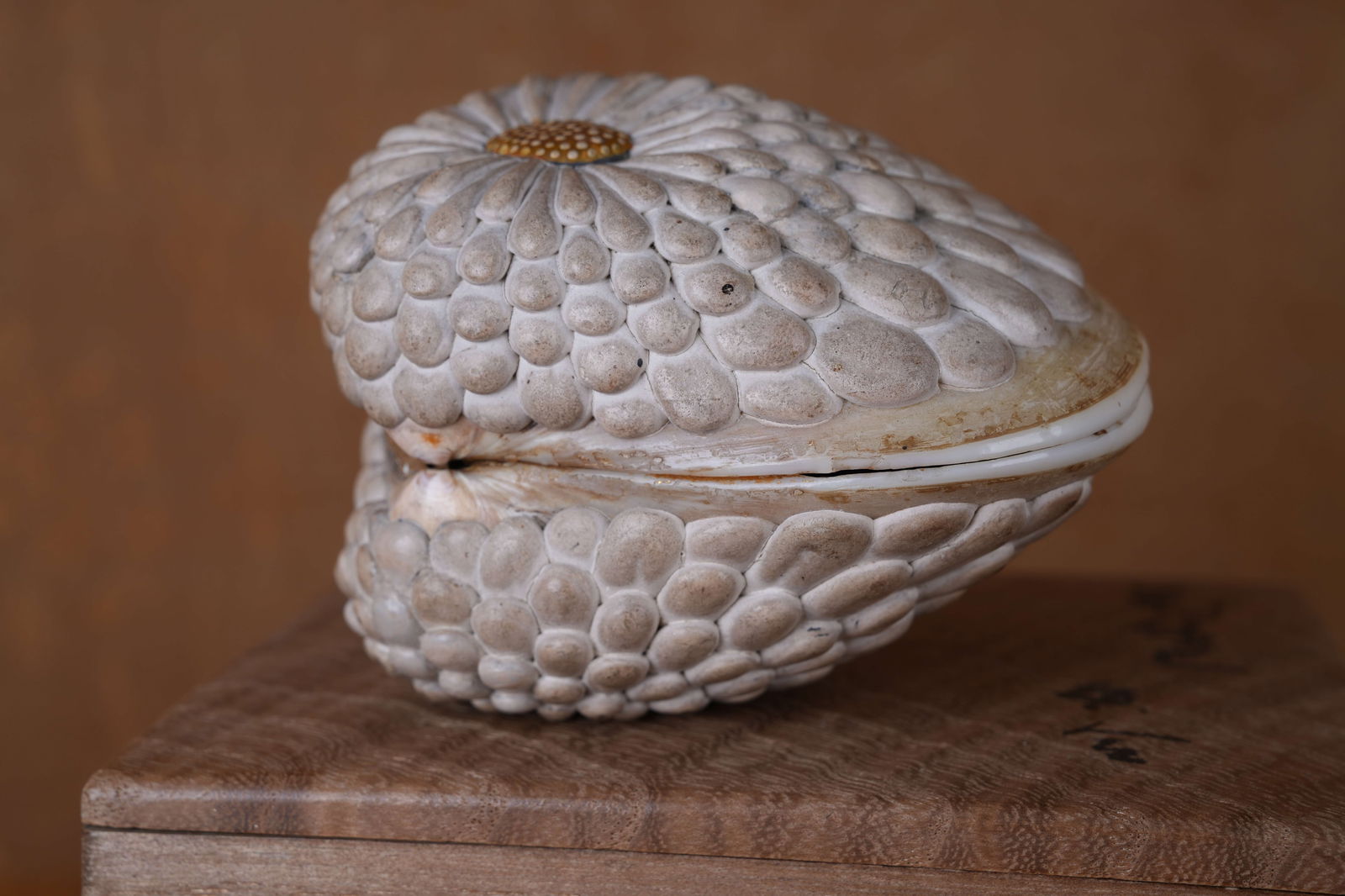 A CLAM-SHAPED INCENSE BOX - 2