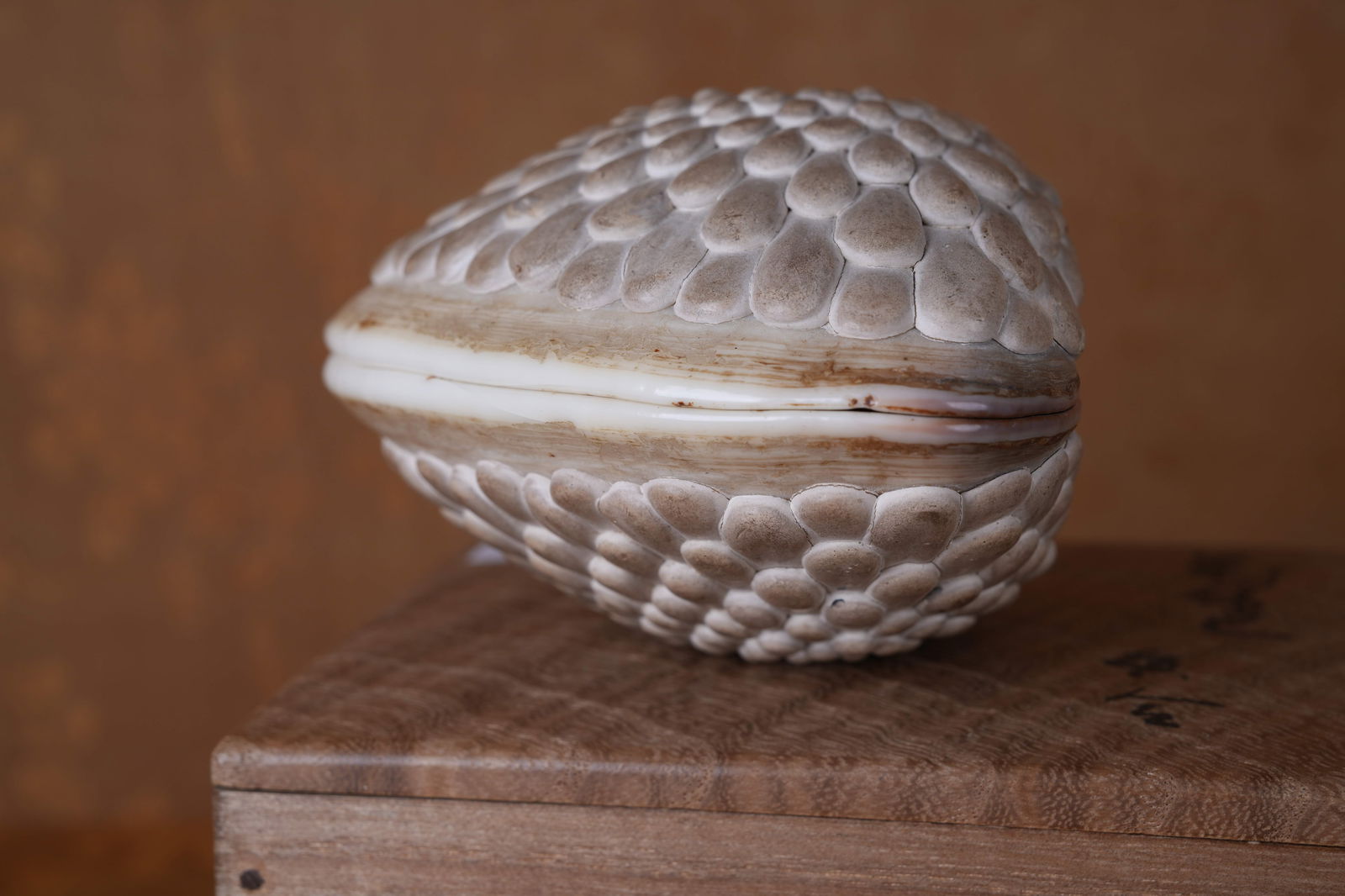 A CLAM-SHAPED INCENSE BOX - 5