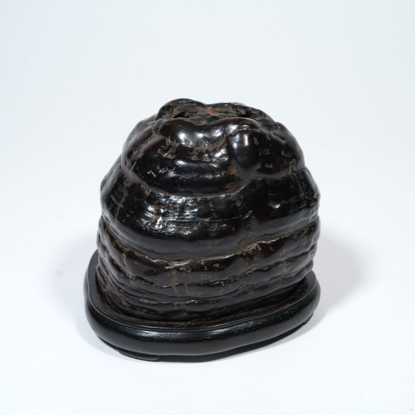 A LINGZHI-SHAPED INCENSE BURNER (1 of 10)
