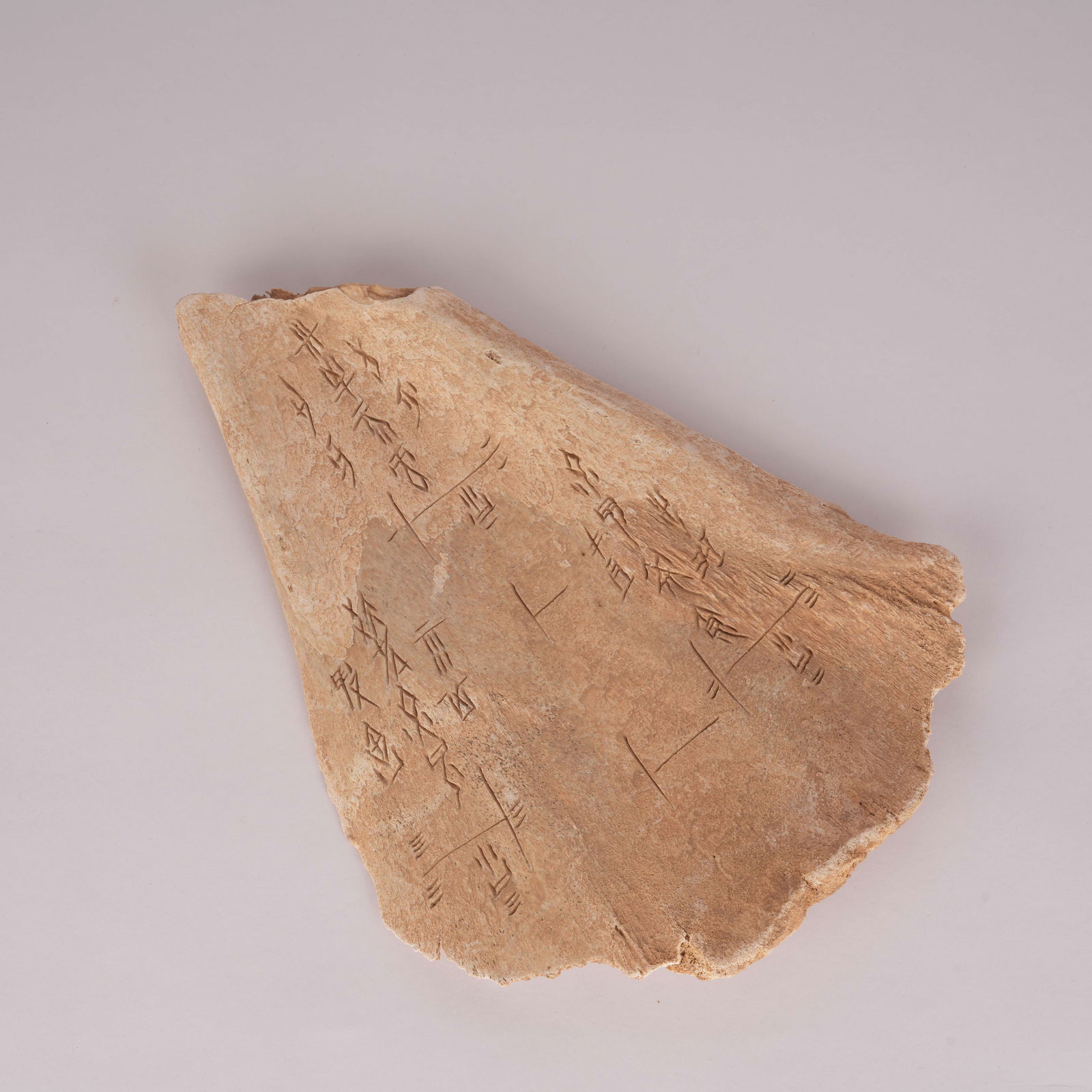 A ORACLE INSCRIPTIONS, SHANG DYNASTY (1 of 7)