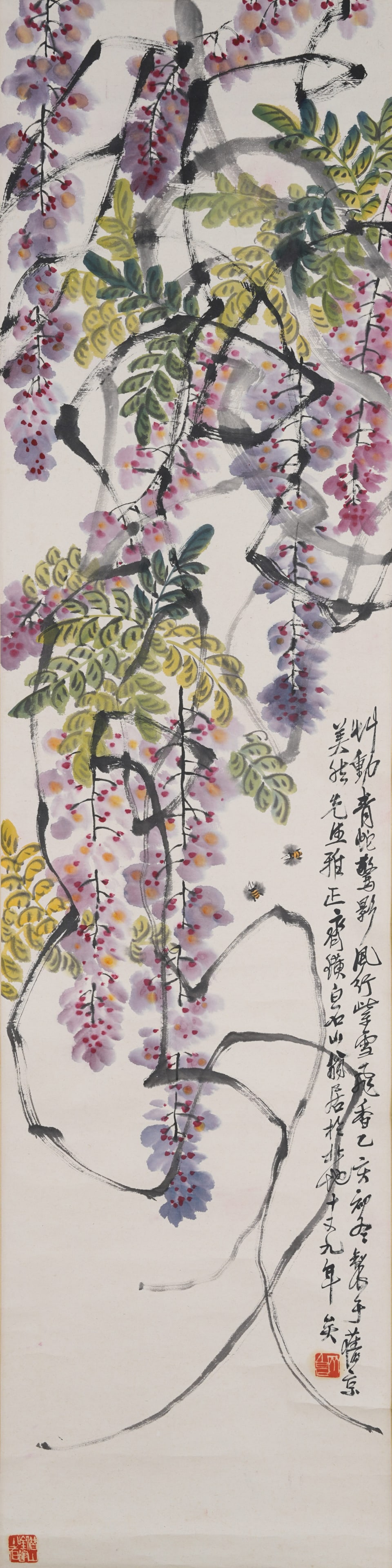 WISTERIA AND BEES PAPER HANGING SCROLL BY QI BAISHI.齐白石: Executed in vertical composition, the painting features wisteria branches drooping from above with vigorous vines and dense clusters of blossoms. The flower spikes are dotted with magenta and cyan pig