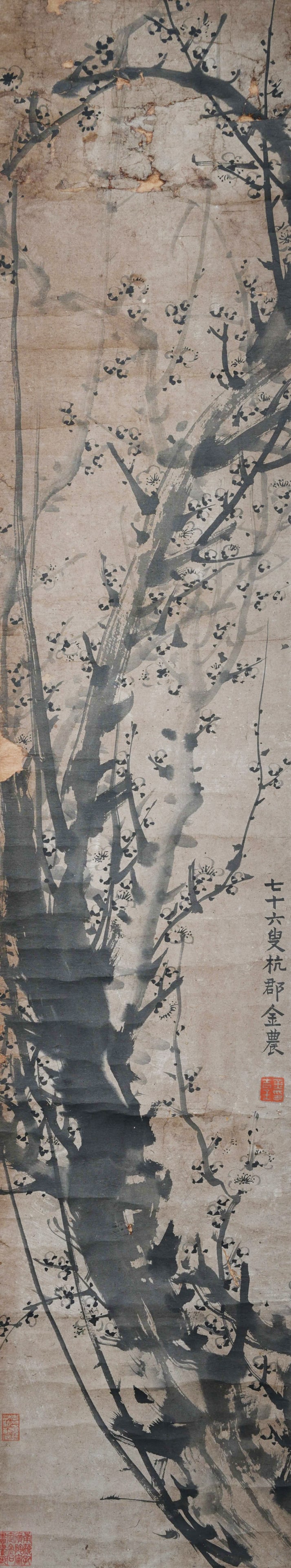 INK PLUM BLOSSOM PAPER HANGING SCROLL BY JIN NONG QING DYNASTY.金农: This exquisite ink plum blossom painting on paper was done by Jin Nong, the leading figure among the Eight Eccentrics of Yangzhou in the Qing Dynasty. The gnarled old plum branches are rendered with v