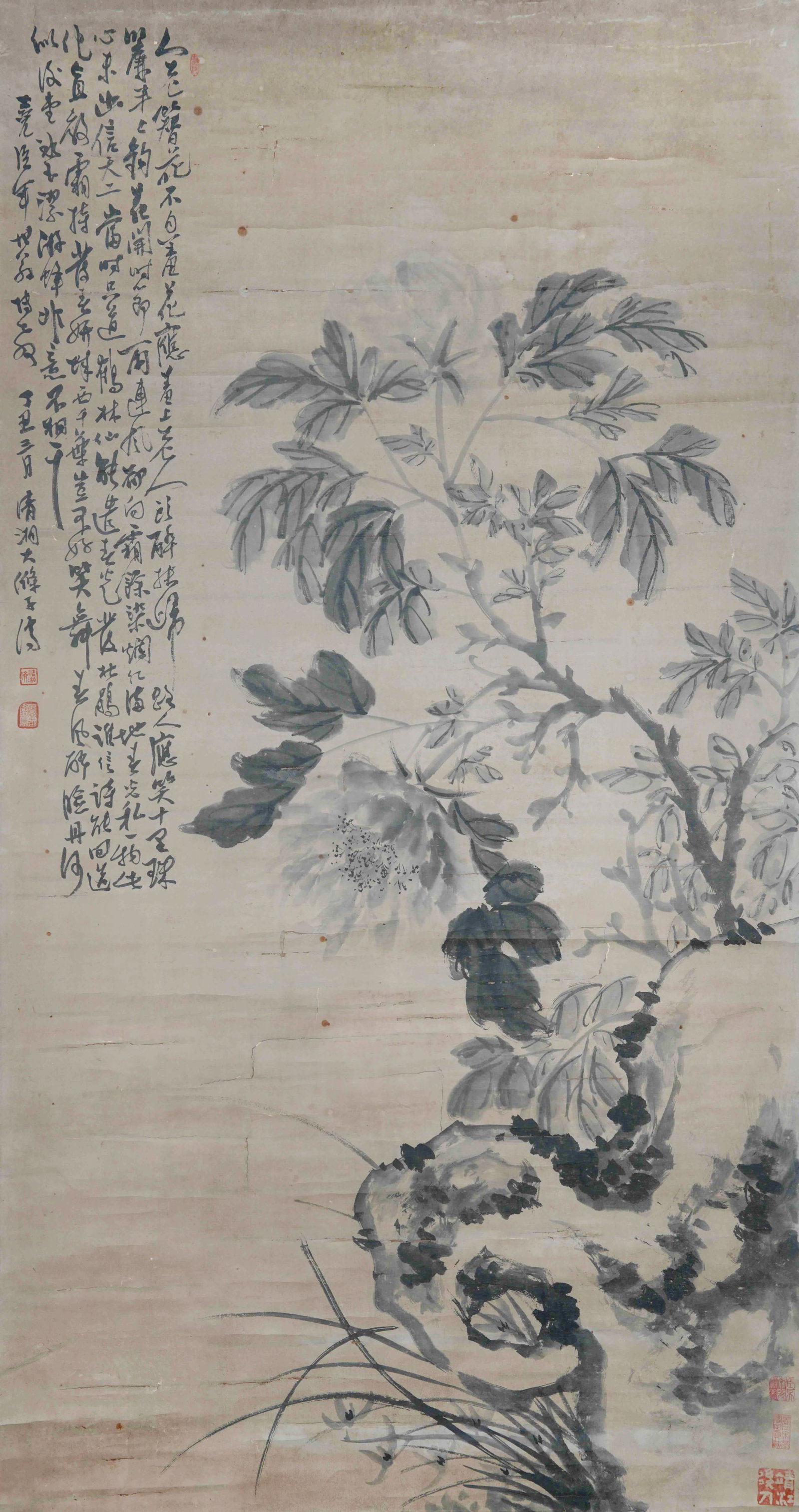 PEONY ORCHID AND STONE PAPER HANGING SCROLL BY SHI TAO QING DYNASTY.石涛: An exquisite ink flower painting on paper by Shi Tao, a great master of painting from the late Ming to early Qing Dynasty and one of the Four Monk Painters of the early Qing period. The work depicts a