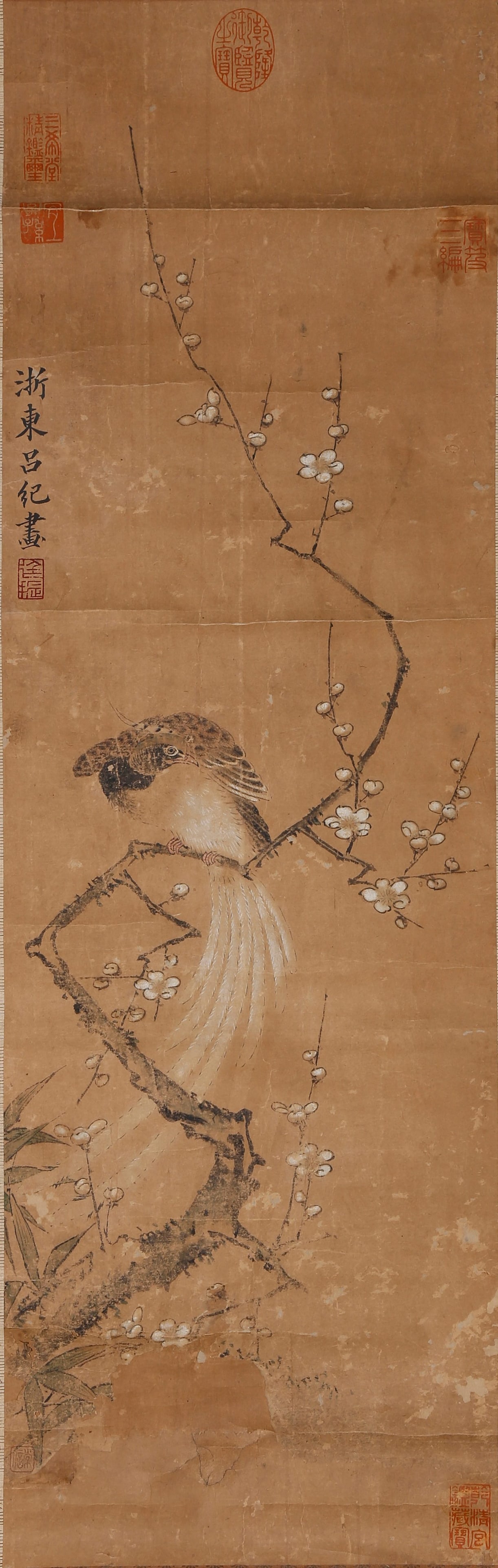 PLUM BLOSSOM AND LONG-TAILED BIRD COLORED PAPER HANGING SCROLL BY LV JI MING DYNASTY.吕纪: This exquisite fine-brush flower-and-bird vertical scroll in colors on paper was painted by Lv Ji, a court flower-and-bird painter of the Ming Dynasty. It embodies his typical imperial flower-and-bird