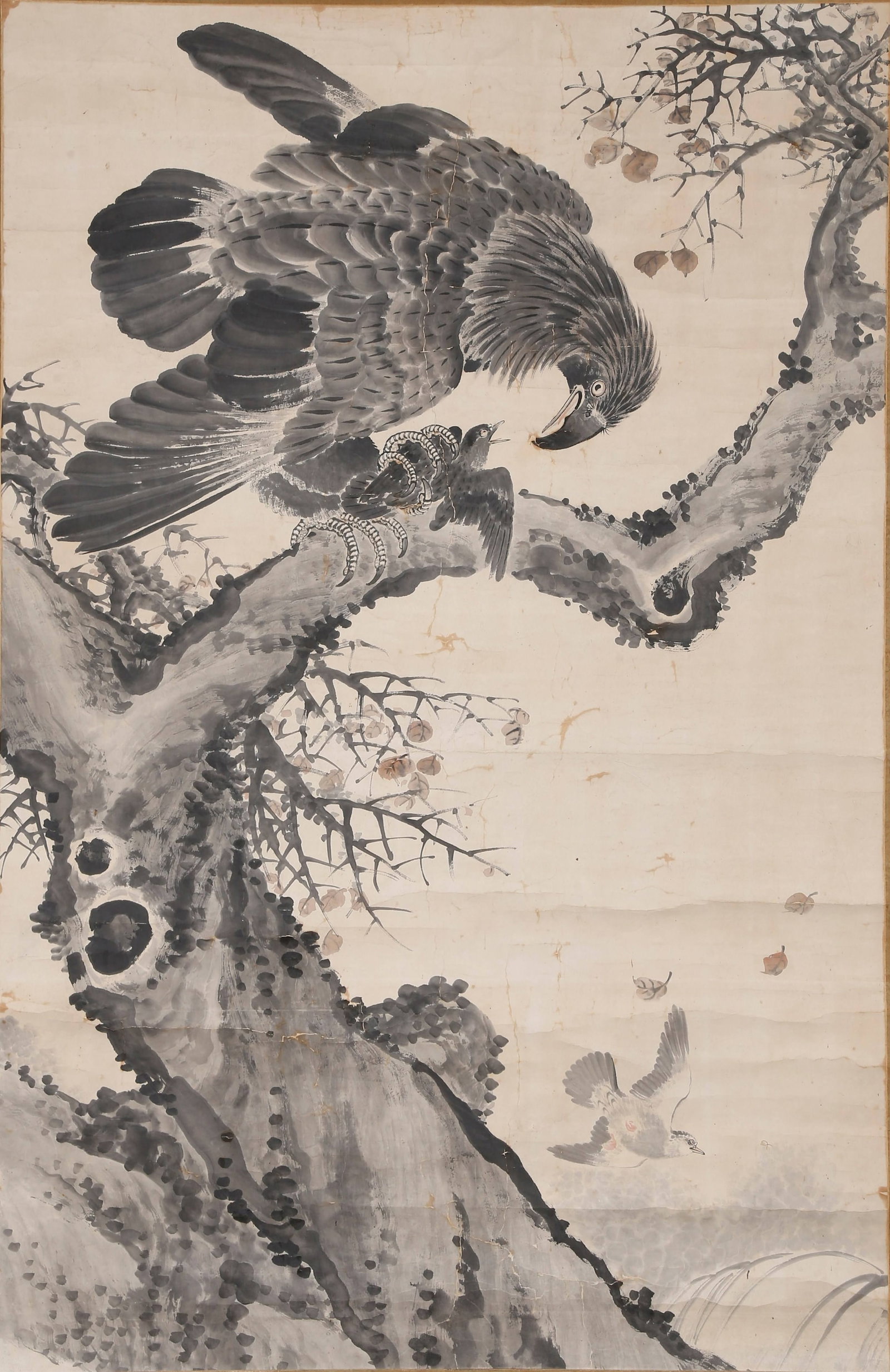 EAGLE VIEW PAPER PAINTING ANONYMOUS.: This work was painted by an anonymous artist of the Qing Dynasty Shanghai Painting School. It is a classic masterpiece of flower, bird and beast themed paintings of the school. Centered on eagles, it 