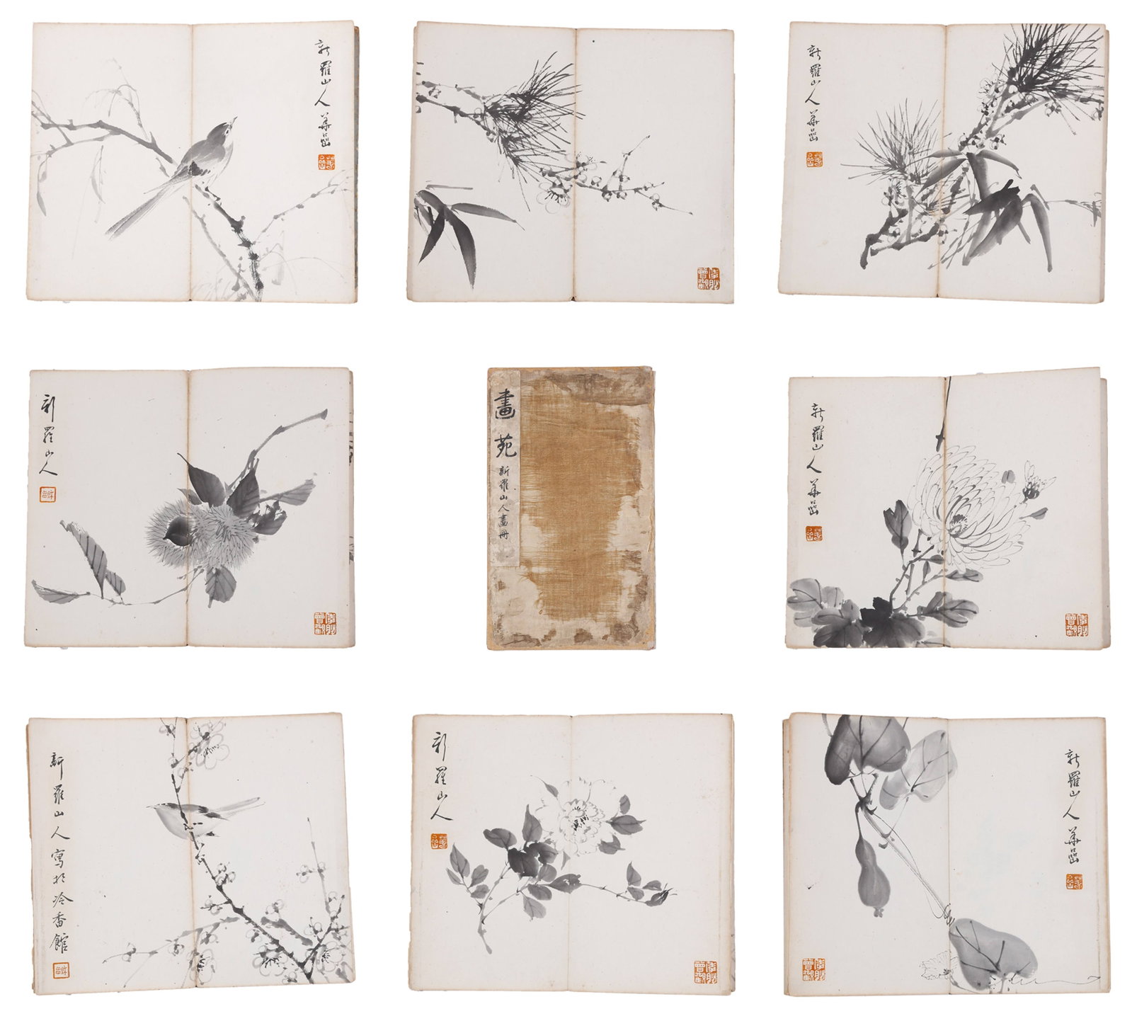 FLOWER-AND-BIRD TEN-LEAF PAPER ALBUM BY HUA YAN QING DYNASTY.华嵒 (1 of 12)