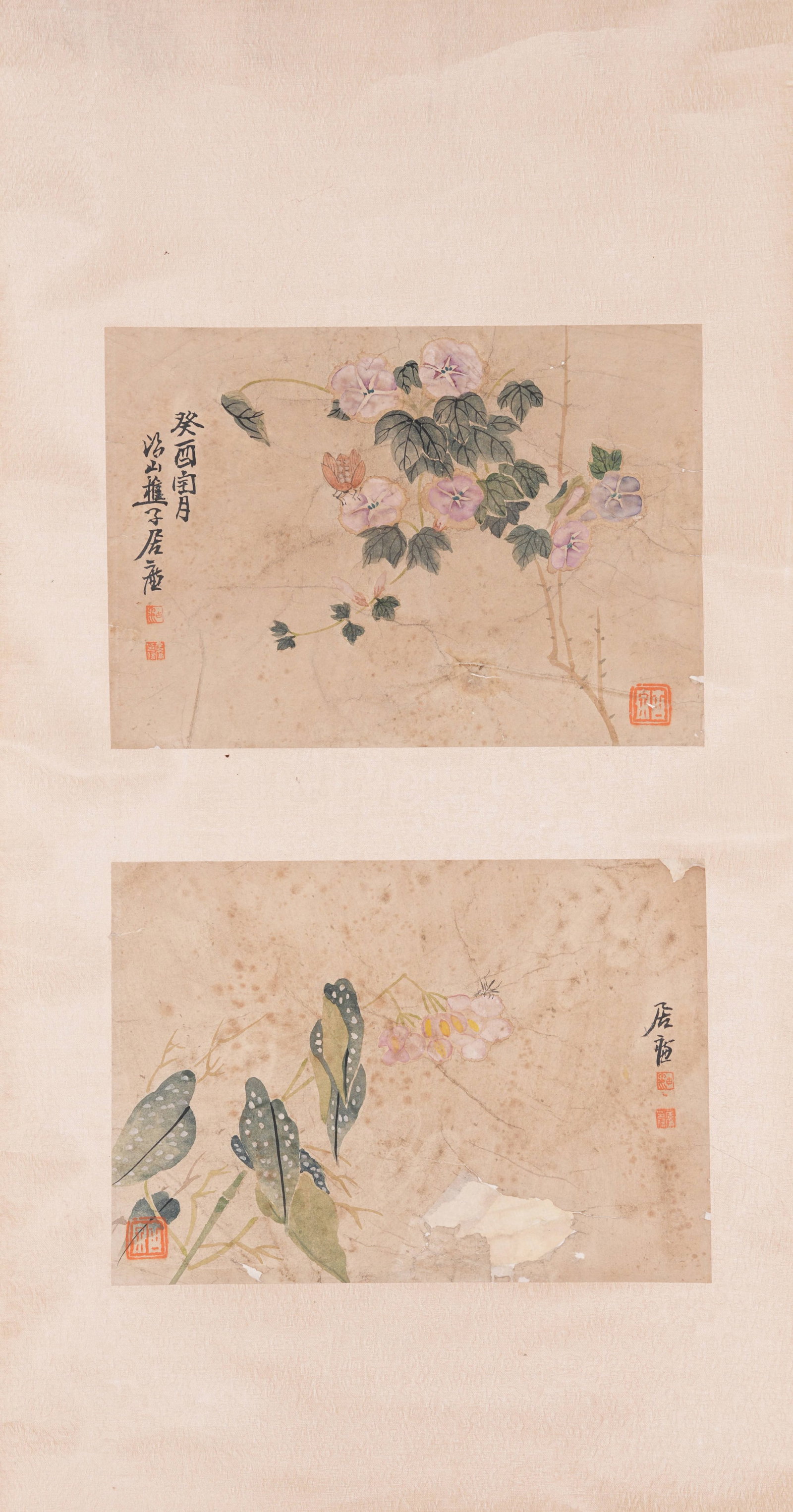 A FLOWER PAINTING ON PAPER BY JU LIAN.居廉: Flower Painting on Paper by Ju Lian.居廉
