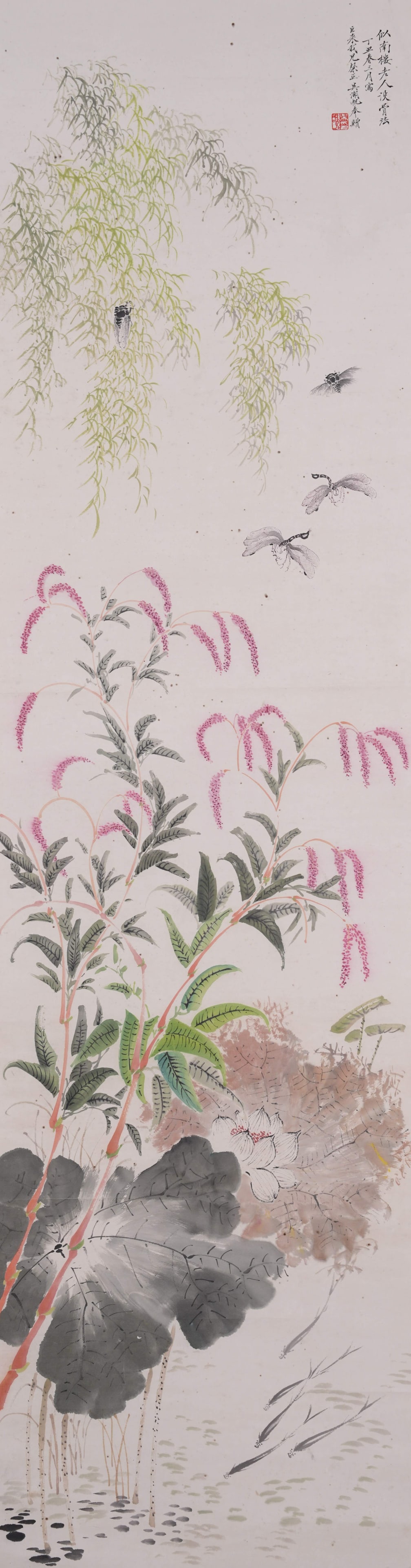 VERTICAL SCROLL COLOR ON PAPER LOTUS POND WITH WILLOWS AND CICADAS BY WU HUFAN: Vertical Hanging Scroll Willows, Cicadas and Lotus Pond by Wu Hufan, colored painting on paper, executed in the brush style of Elder Nanlou with rich, elegant layered composition. Slender drooping wil