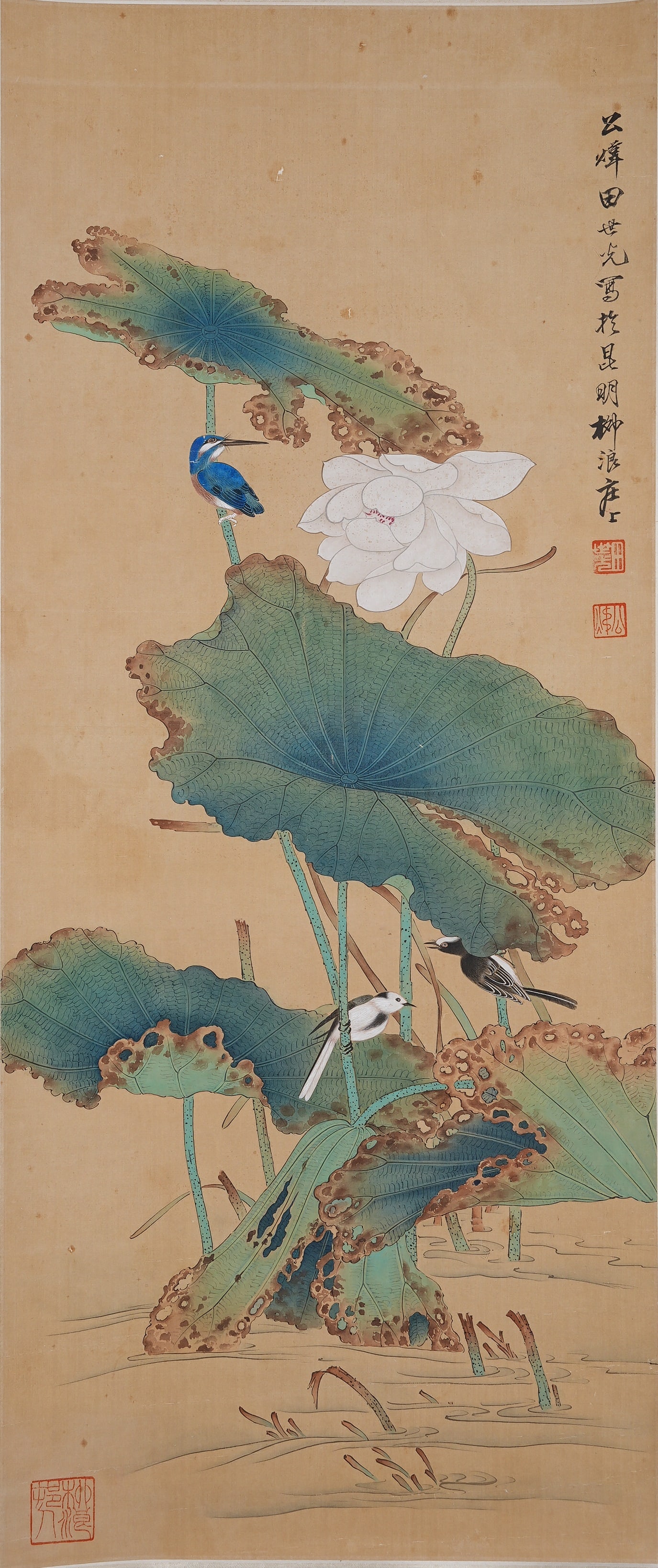 A KINGFISHER PAINTING ON SILK BY TIAN SHIGUANG.田世光: Kingfisher Painting on Silk by Tian Shiguang.田世光