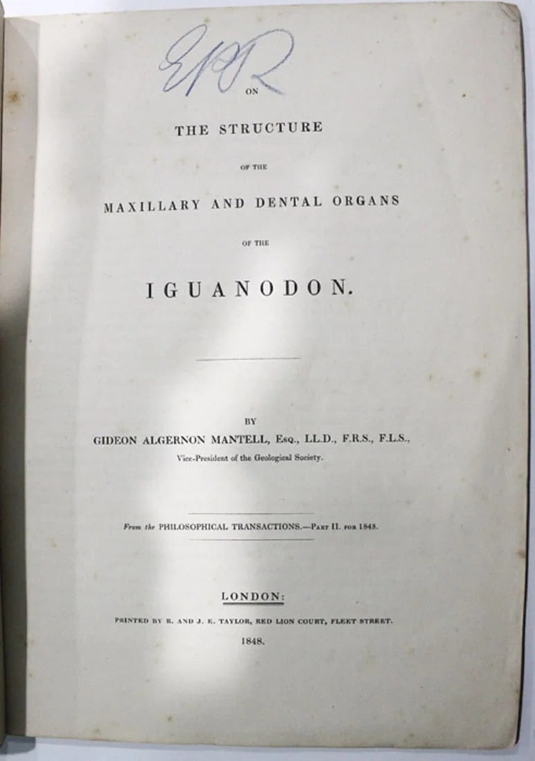 SCIENTIFIC PAPER - ON THE STRUCTURE OF THE MAXILLARY AND DENTAL ORGANS OF THE IGUANODON, LONDON 1848: Scientific Paper - On the structure of the Maxillary and Dental Organs of the Iguanodon, London 1848