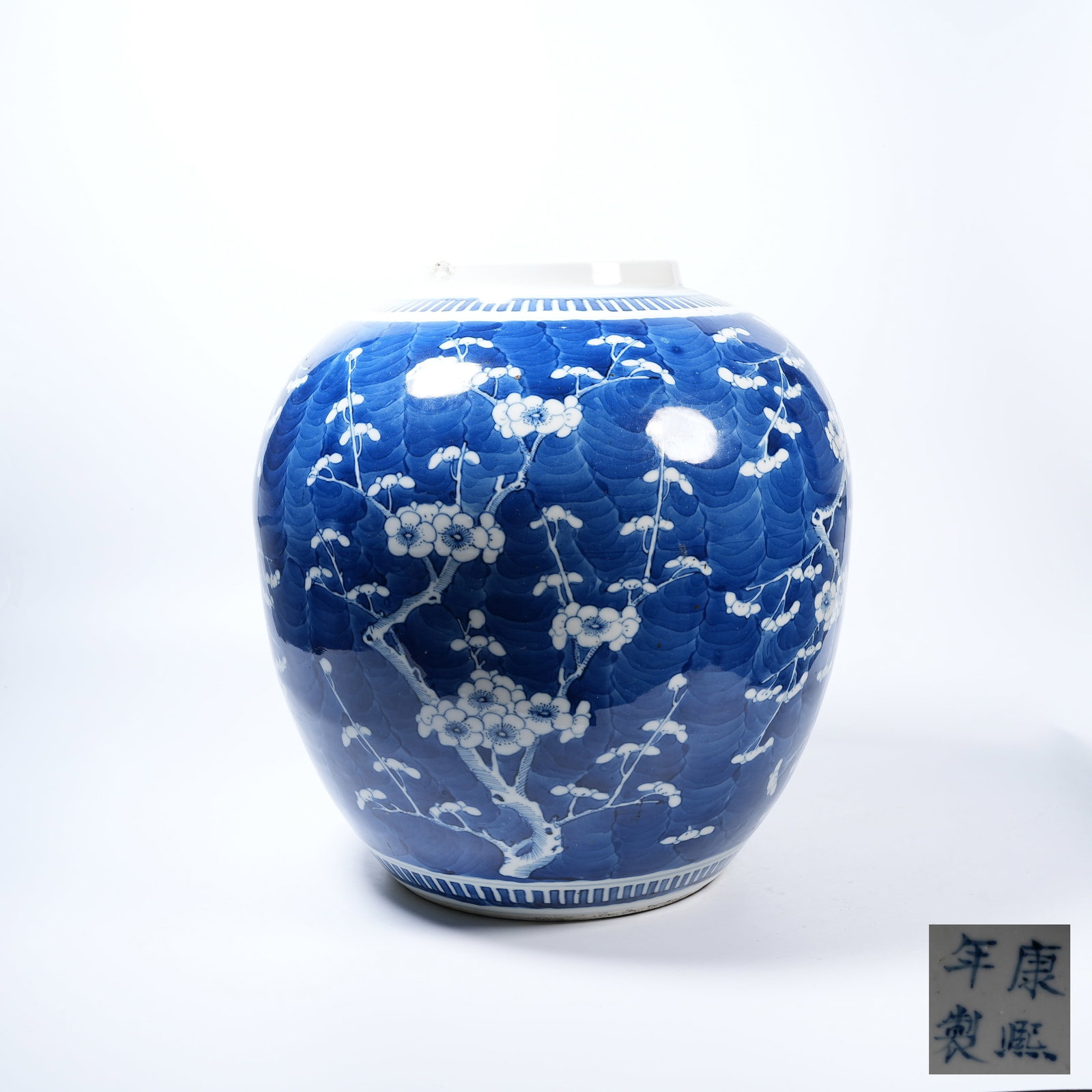 A BLUE AND WHITE JAR WITH RESERVED FLORAL PATTERNS: Blue and White Jar with Reserved Floral Patterns