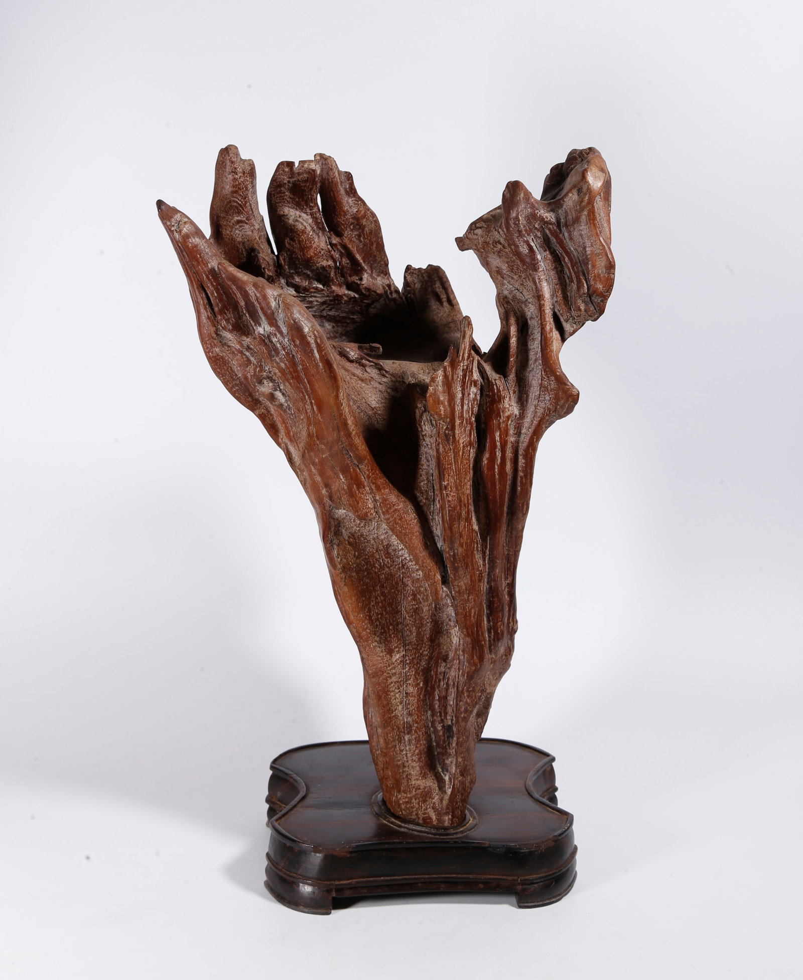 A ROOT CARVING ORNAMENT: Root Carving Ornament