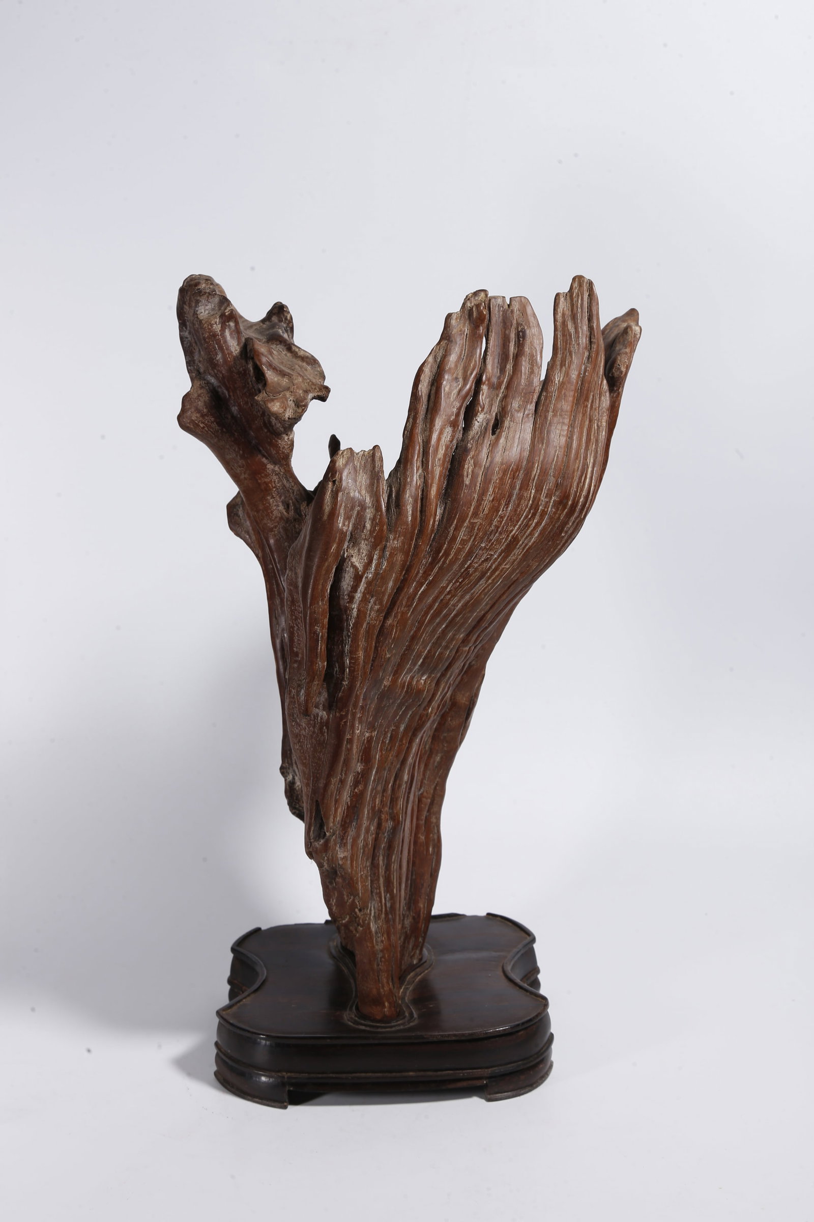 A ROOT CARVING ORNAMENT - 6
