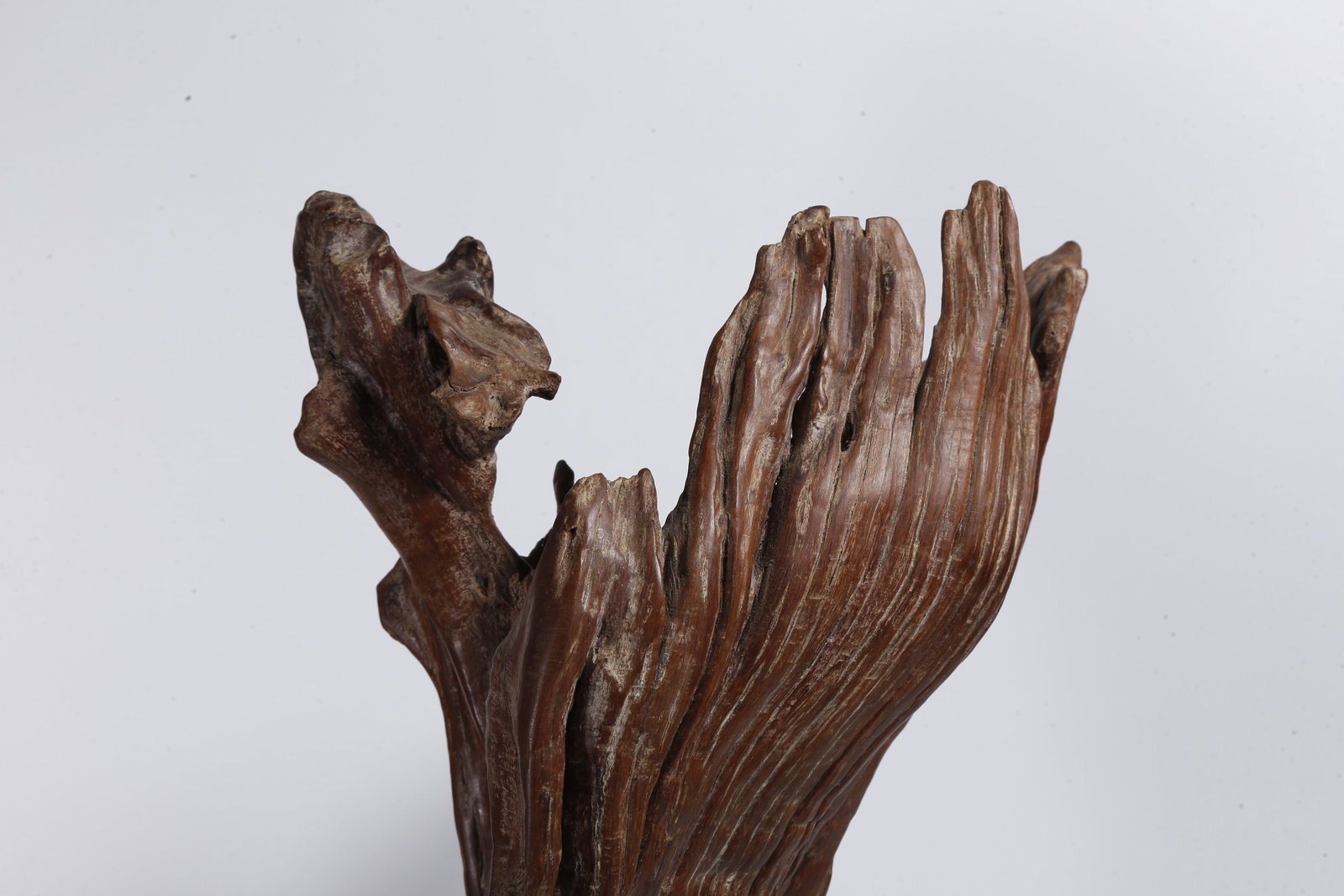 A ROOT CARVING ORNAMENT - 7