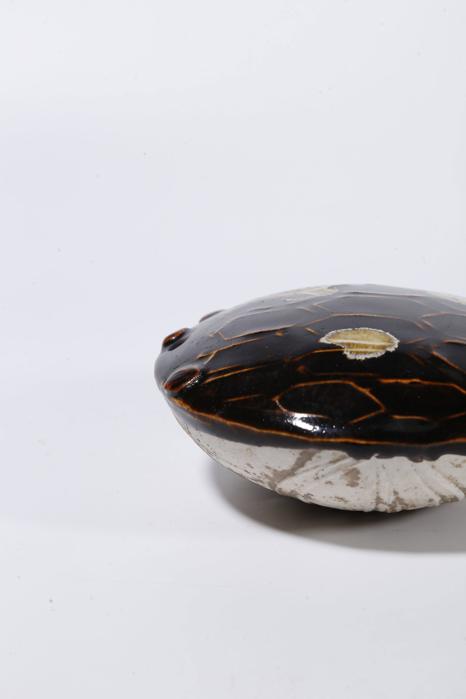 A DING WARE BROWN?PAINTED TURTLE?FORM ORNAMENT - 7