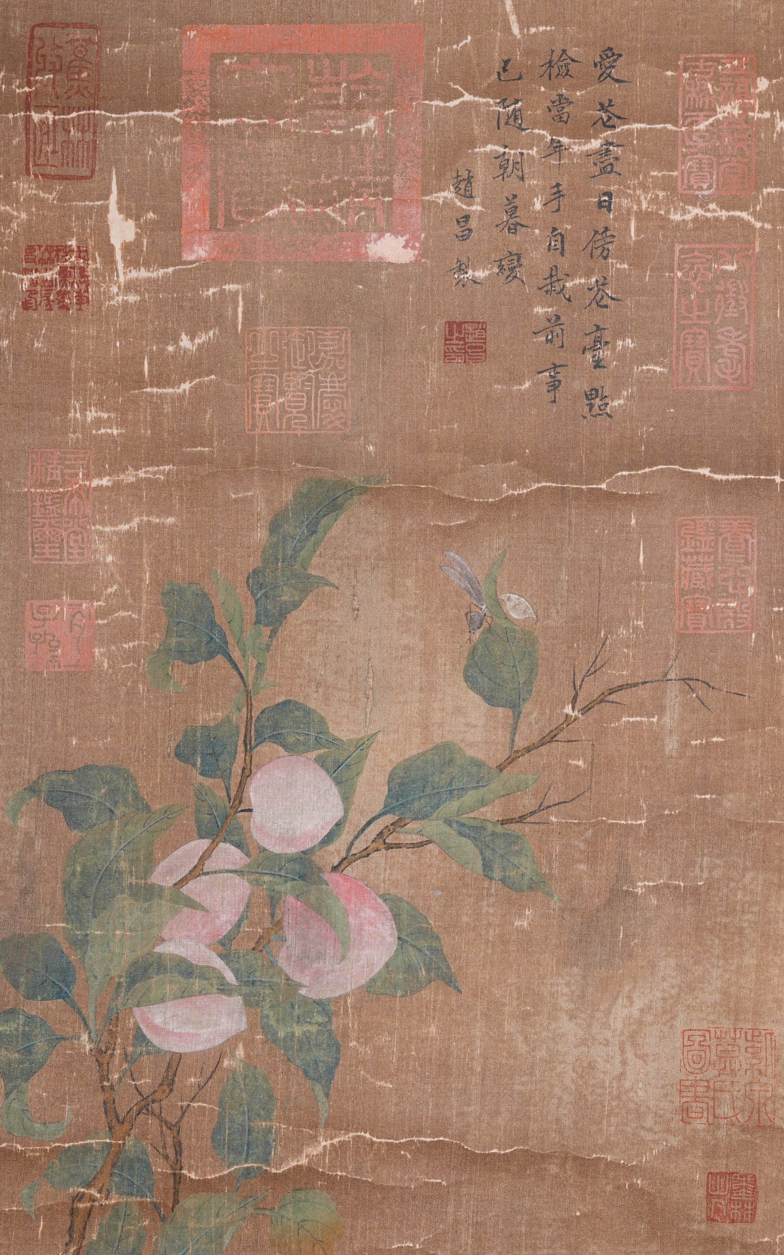 A PEACH-OF-LONGEVITY PAINTING ON SILK BY ZHAO CHANG.趙昌 (1 of 8)