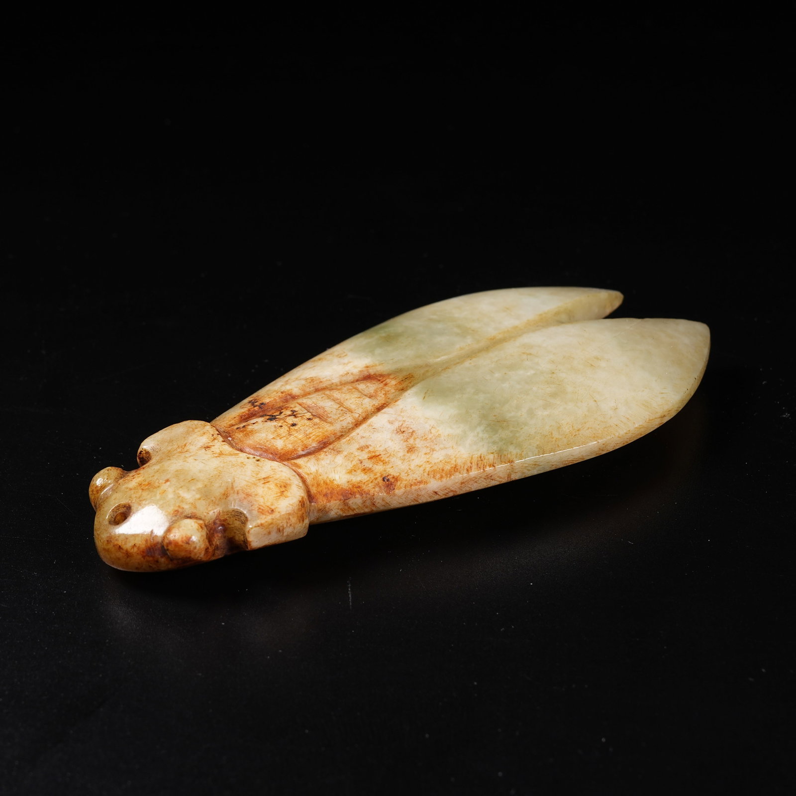 A ARCHAIC JADE CICADA: Archaic Jade Cicada