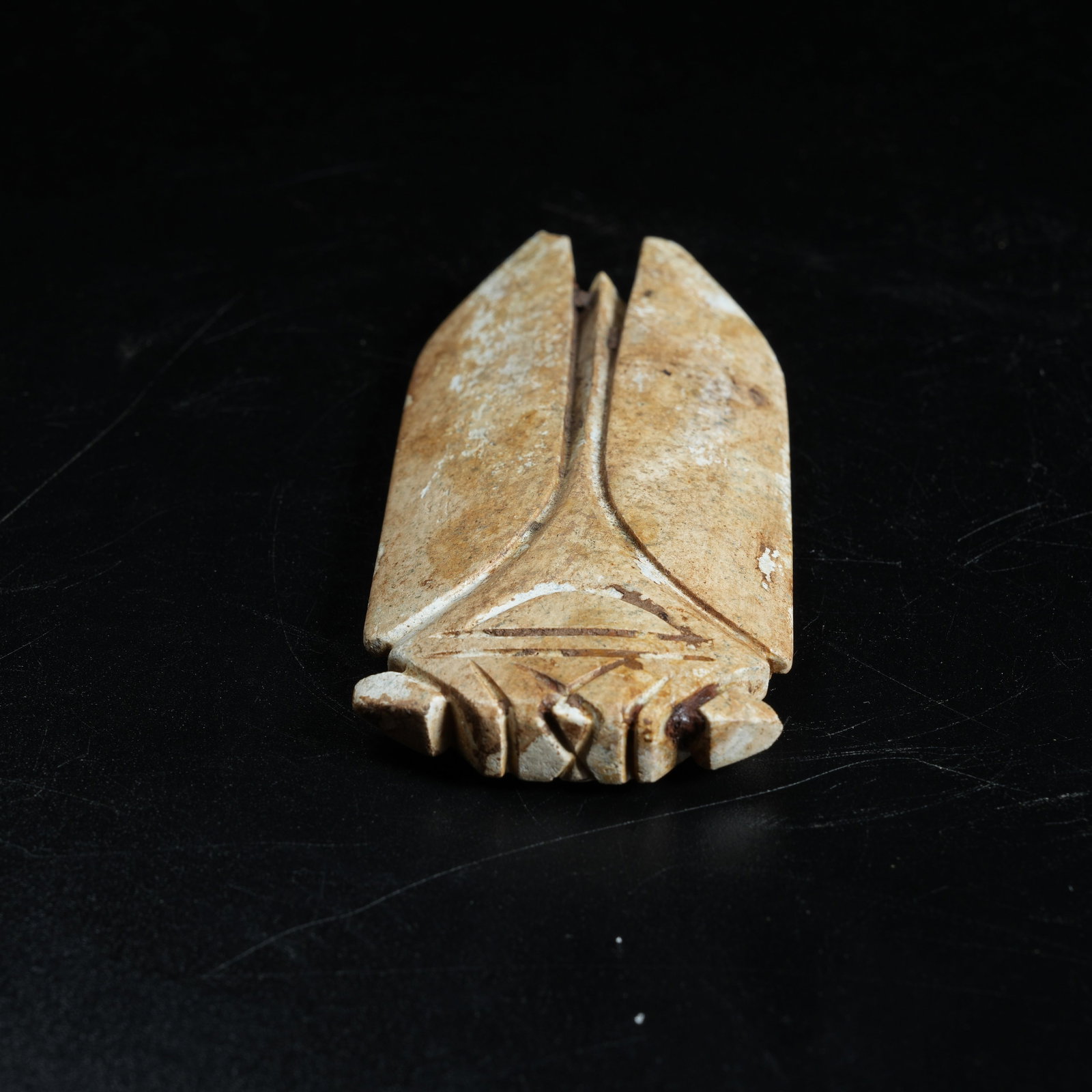 A ANCIENT JADE CICADA - 2