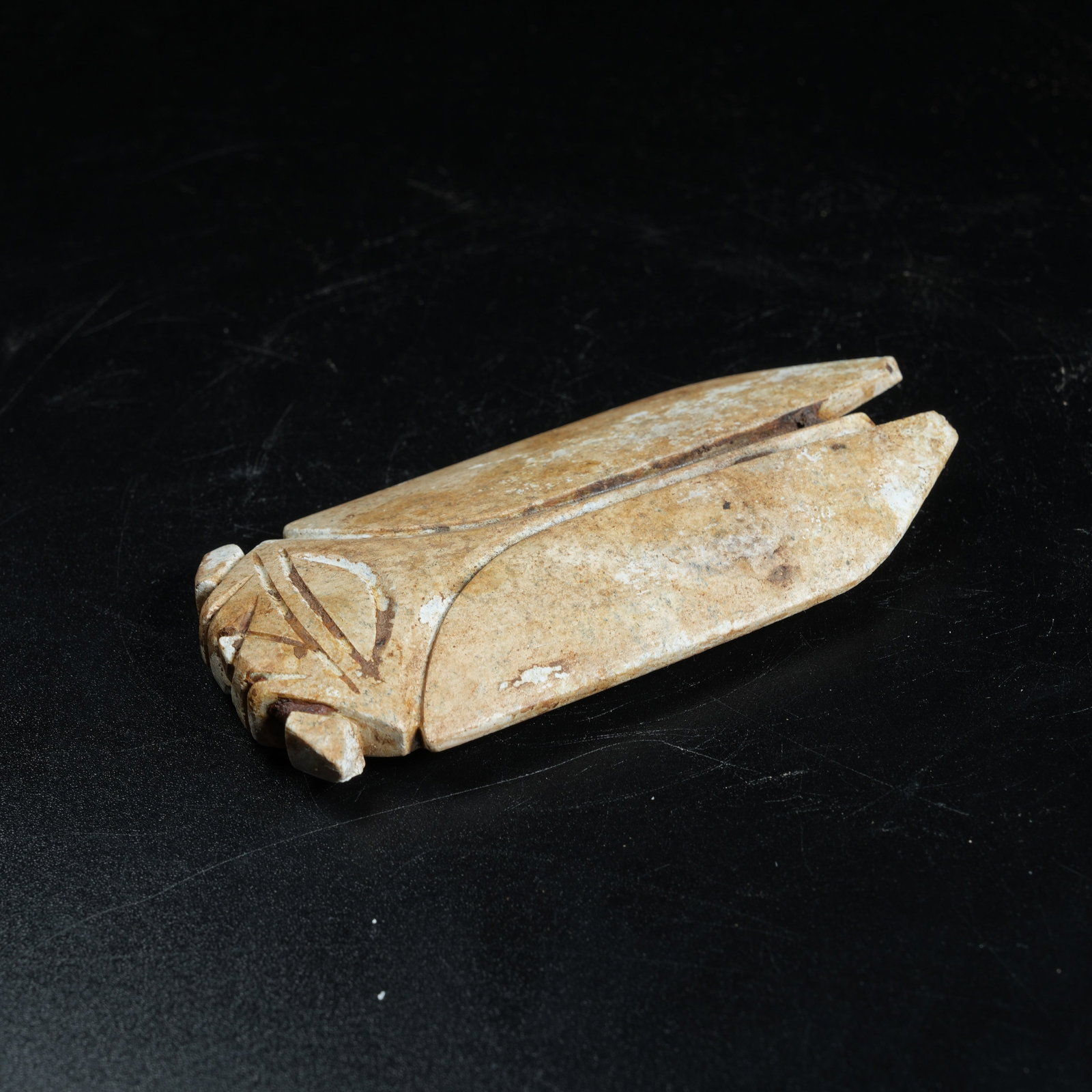 A ANCIENT JADE CICADA - 3