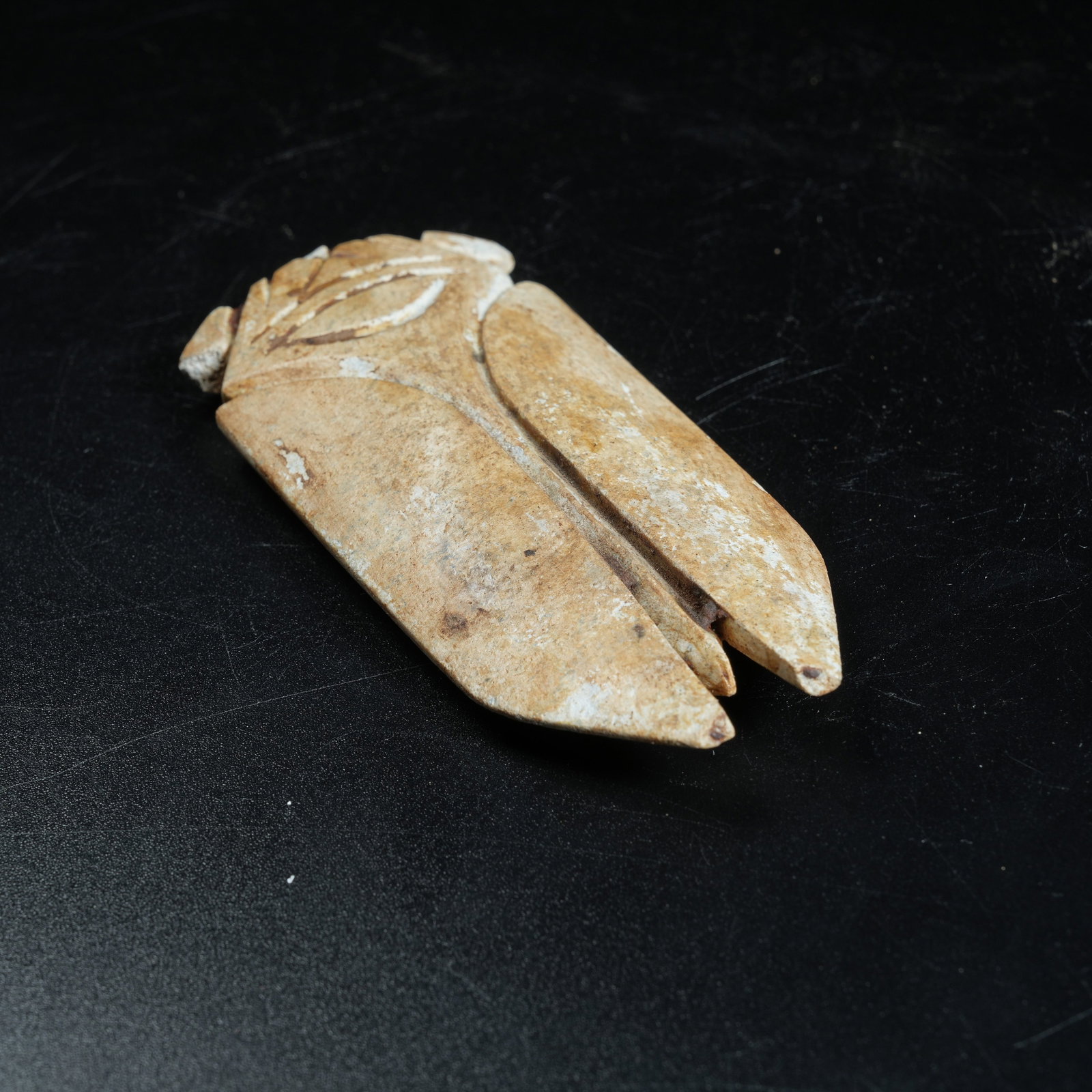 A ANCIENT JADE CICADA - 4