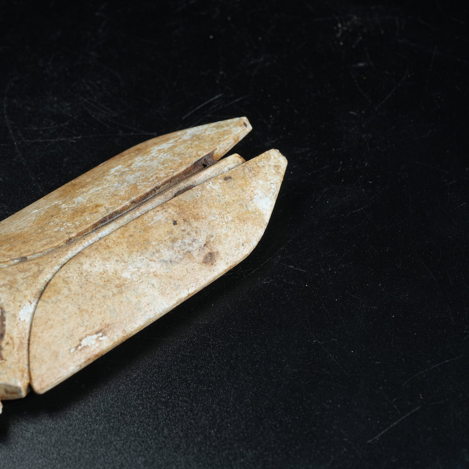 A ANCIENT JADE CICADA - 6
