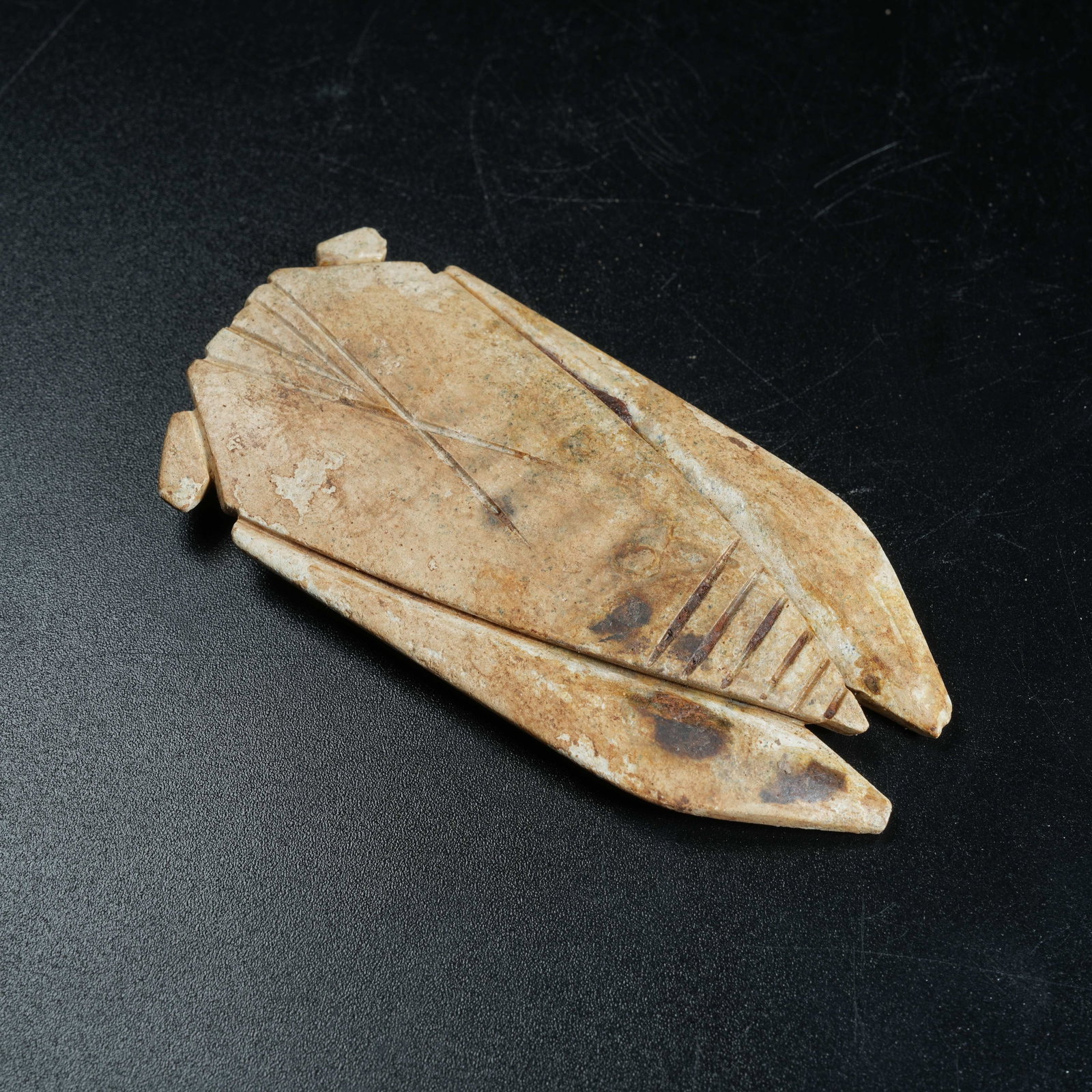 A ANCIENT JADE CICADA - 8