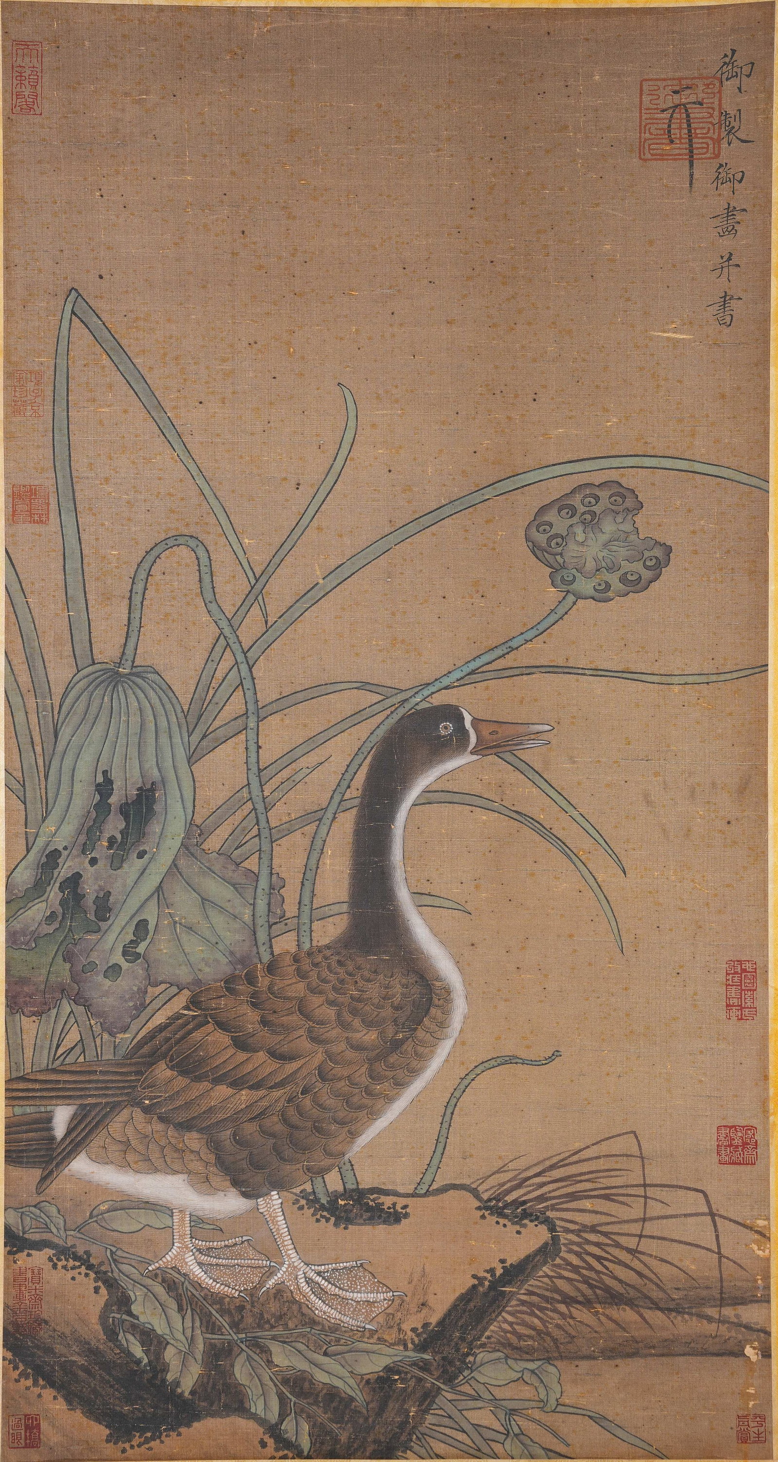 A FLOWER?AND?BIRD PAINTING ON SILK BY EMPEROR HUIZONG OF SONG.宋徽宗: Flower?and?bird painting on silk by Emperor Huizong of Song.宋徽宗