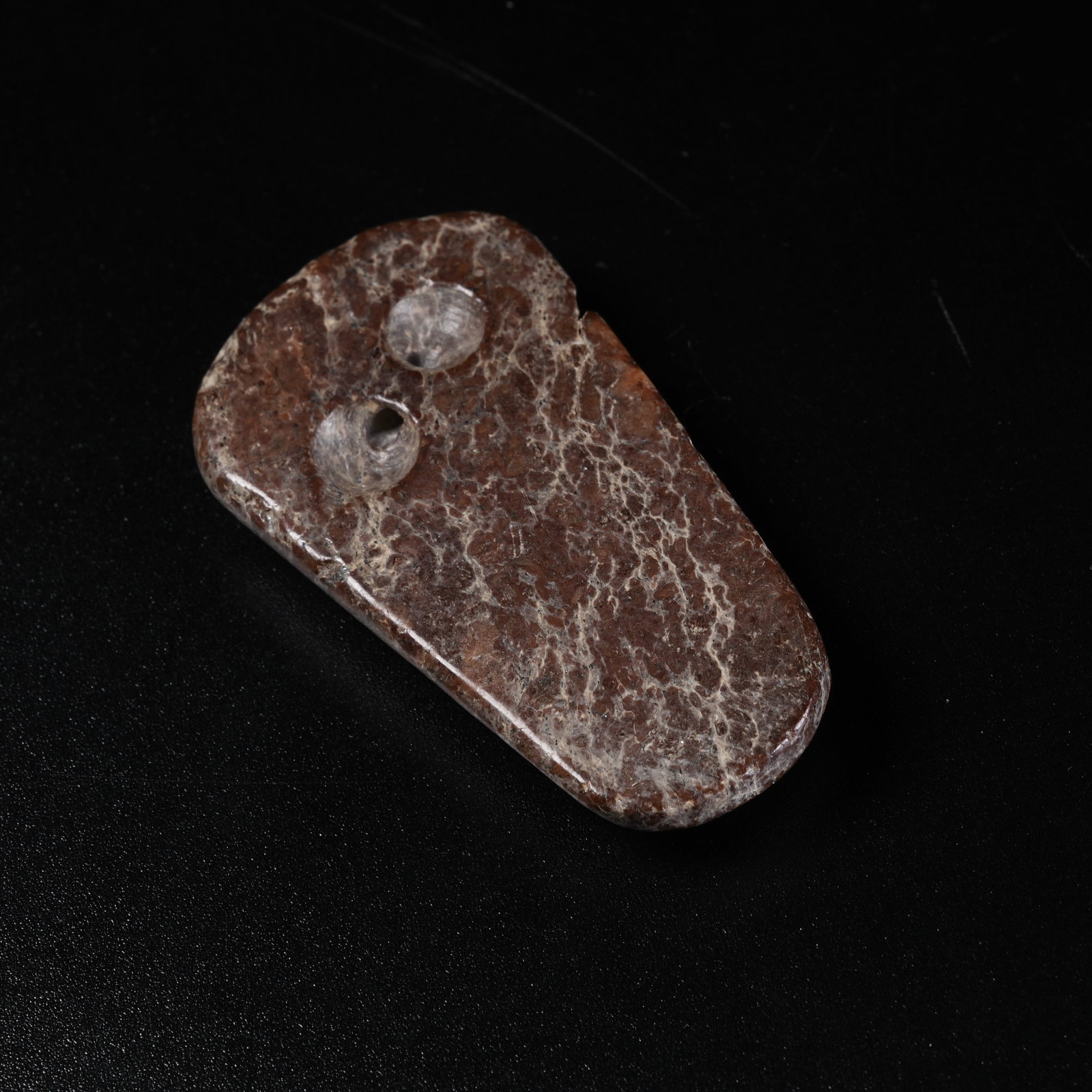 A ANCIENT JADE CICADA - 8