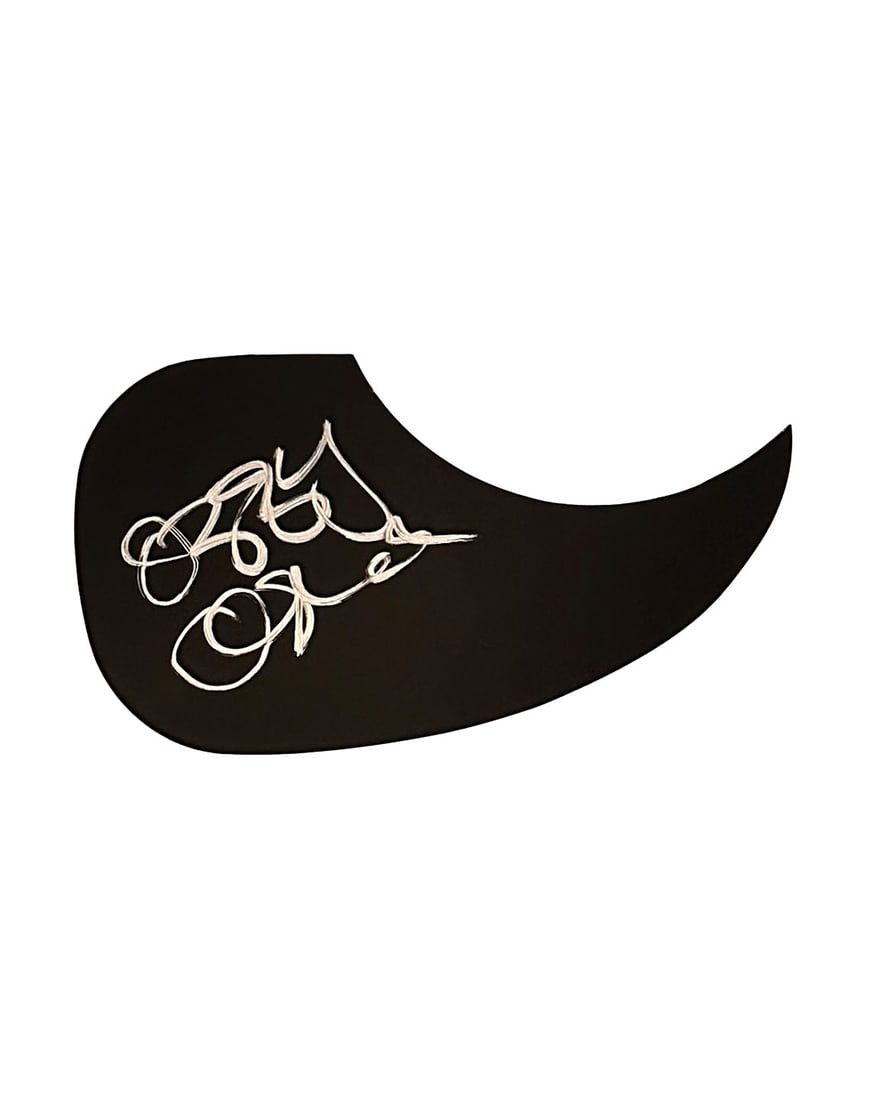 Ozzy Osbourne Autographed Pickguard: Acoustic guitar will fit any standard size acoustic. Signed by Ozzy at the Monster mania convention. In silver paint pen.