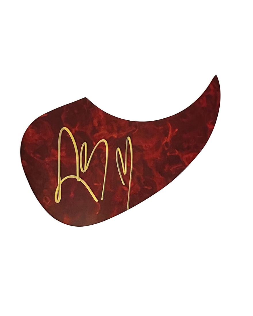 Post Malone Autographed Acoustic Pickguard (1 of 1)