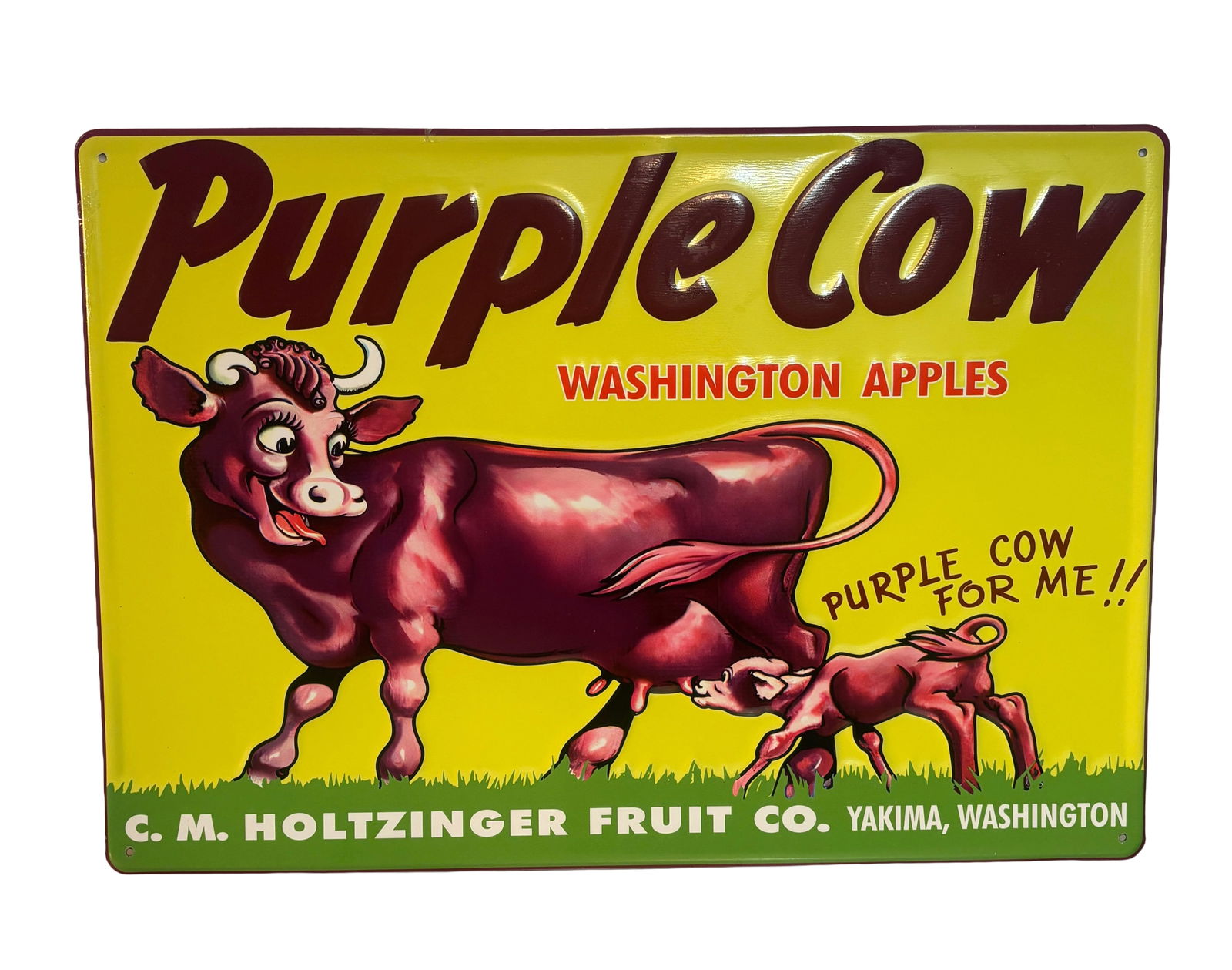 New Contemporary Purple Cow Washington Apples Embossed Metal Sign: New Contemporary Purple Cow Washington Apples Embossed Metal Sign. Very high resolution vibrant colors on this good looking sign, great quality. C.M. Holtzinger Fruit Co. Yakima, Washington.
