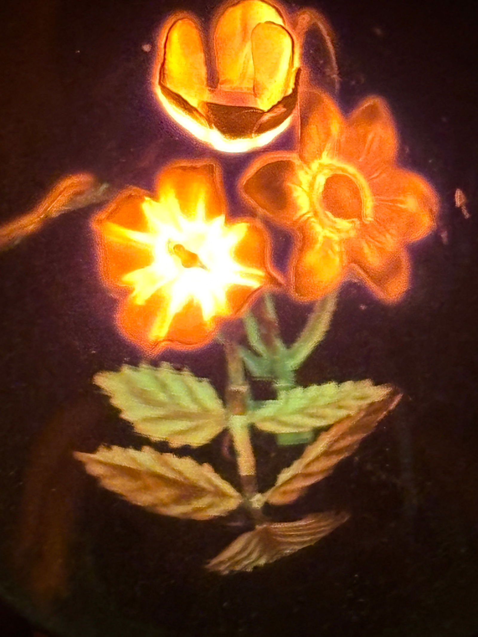 Mid Century Aerolux Neon Glass Light Bulb Floral Sculpture: Mid Century Aerolux Neon Glass Light Bulb Floral Sculpture.An artful gas-discharge light bulb,