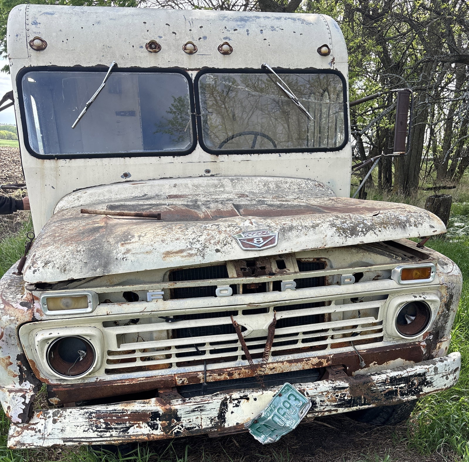 1960s Ford Meadow Gold Milk Truck Field Find Rat Rod - 8