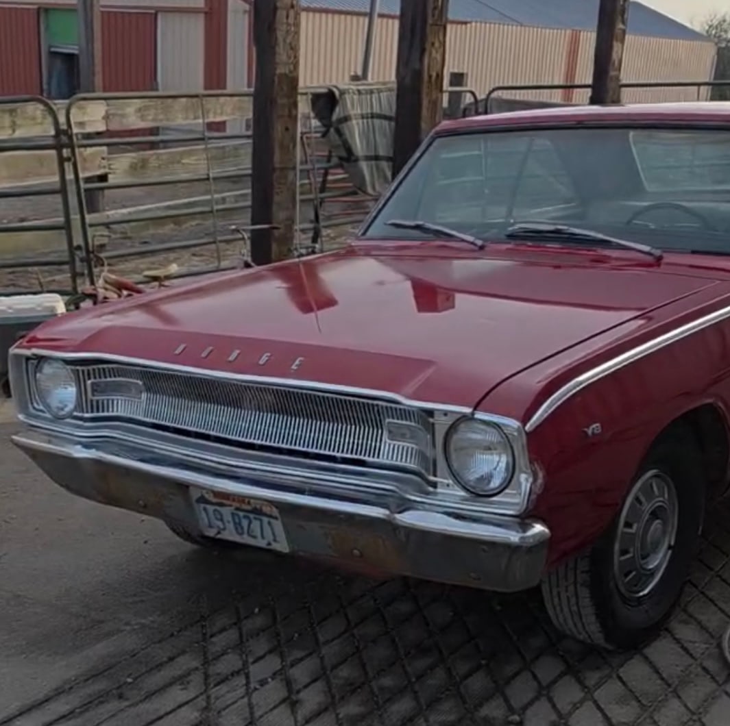 1967 Dodge Dart 273 Barn Find: 1967 Dodge Dart 273 v8 Automatic. Barn Find. Runs and drives . White interior. Its been stored in a shed for quite awhile. they give it a bath and put it up on the jack. rust around the fenders.