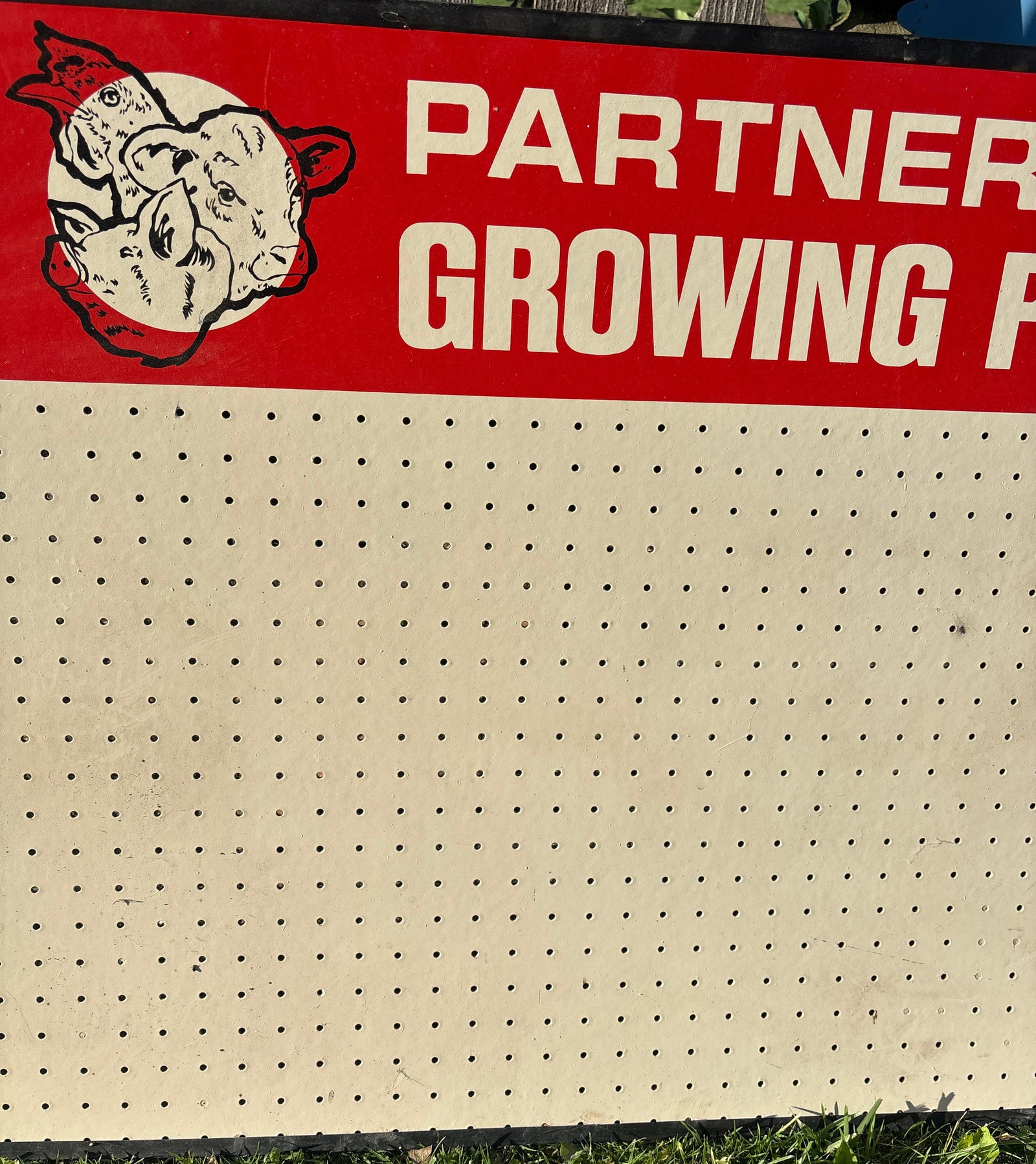 Wayne Feeds Cow Store display Pegboard Sign - 3