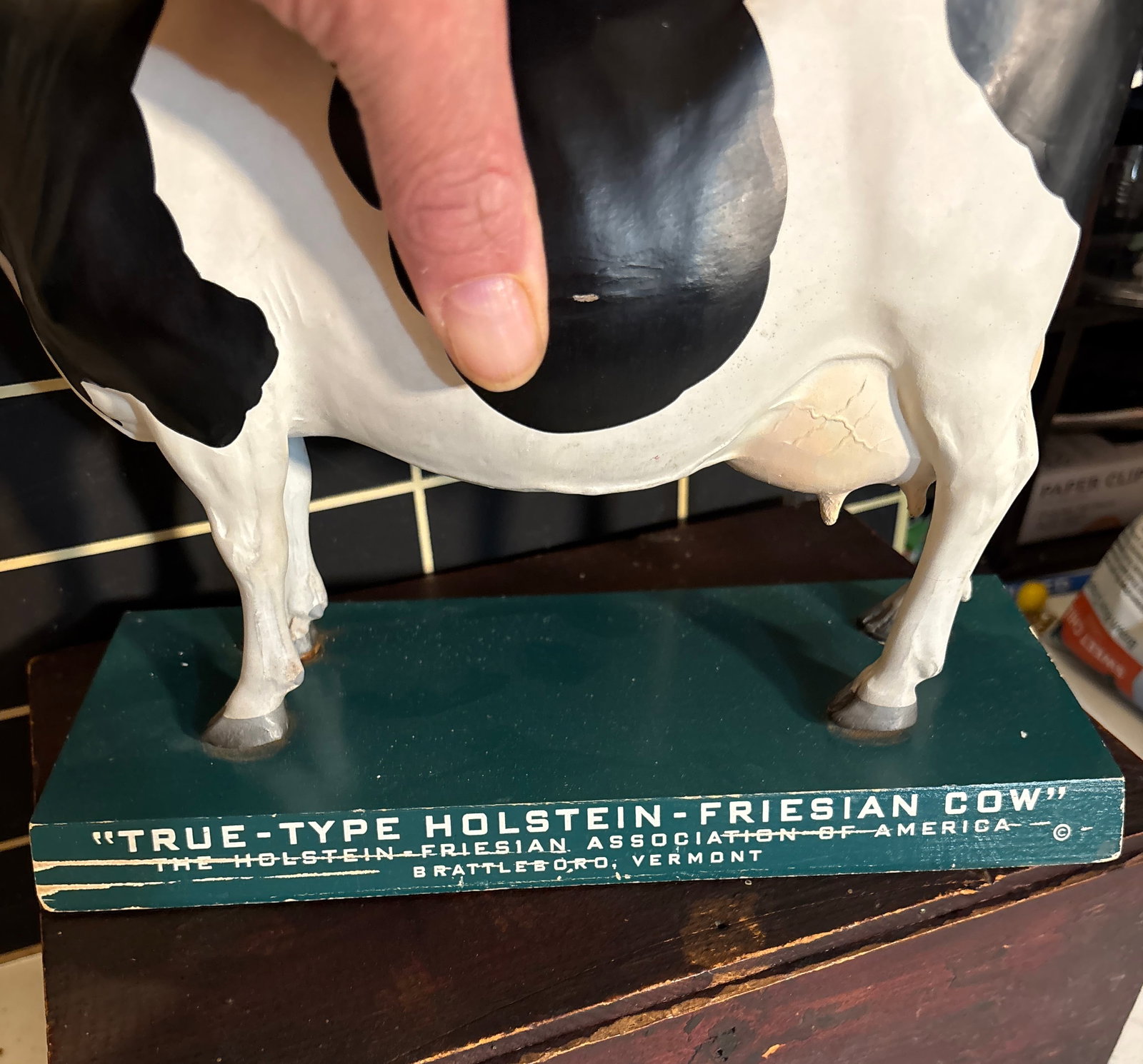 1940s 50s Holstein-Friesian Store Display Model - 9