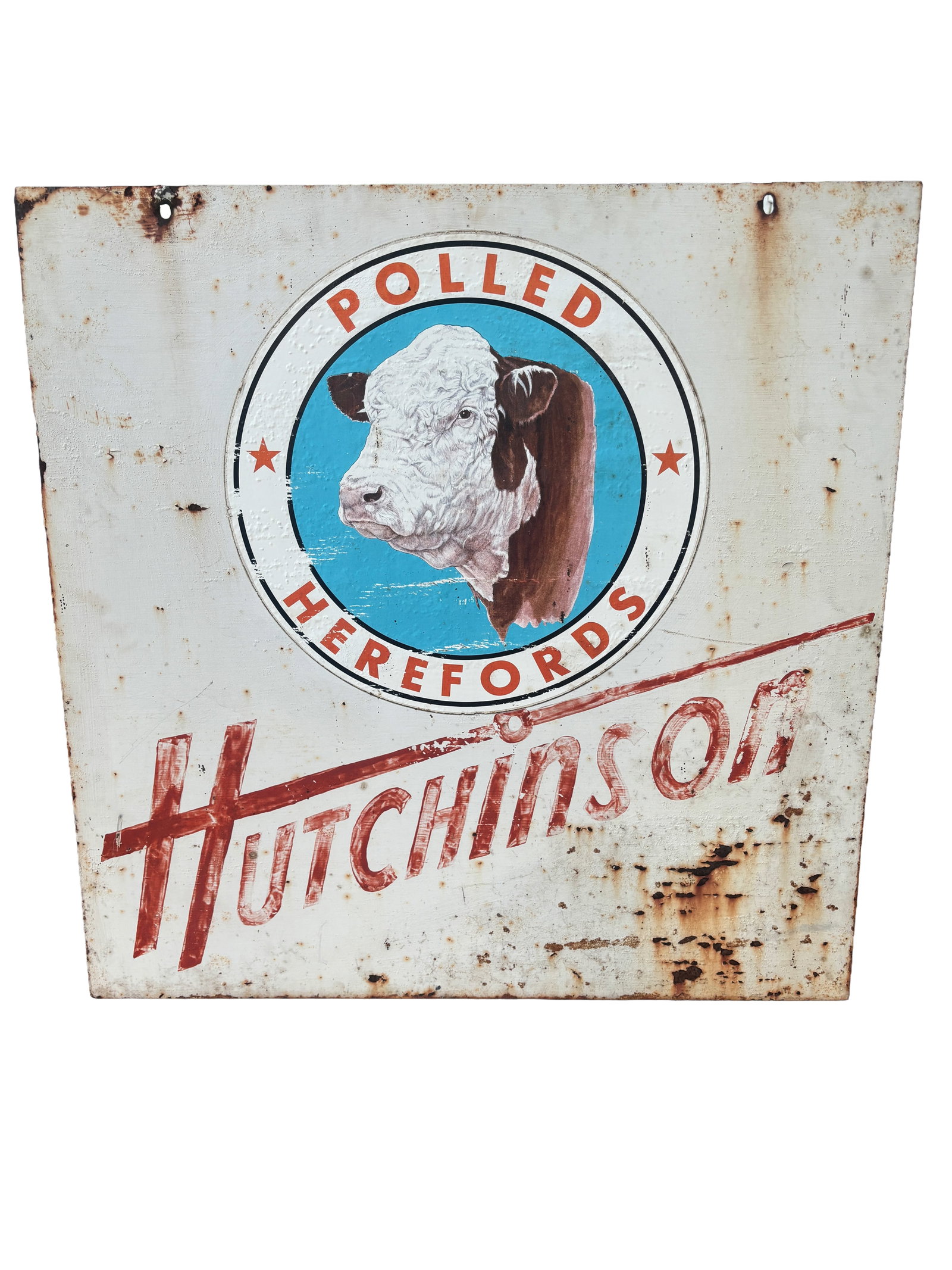 1950s 60s 2 sided American Polled Hereford “Hutchinson” Cattle Farm 30”x30” (1 of 6)