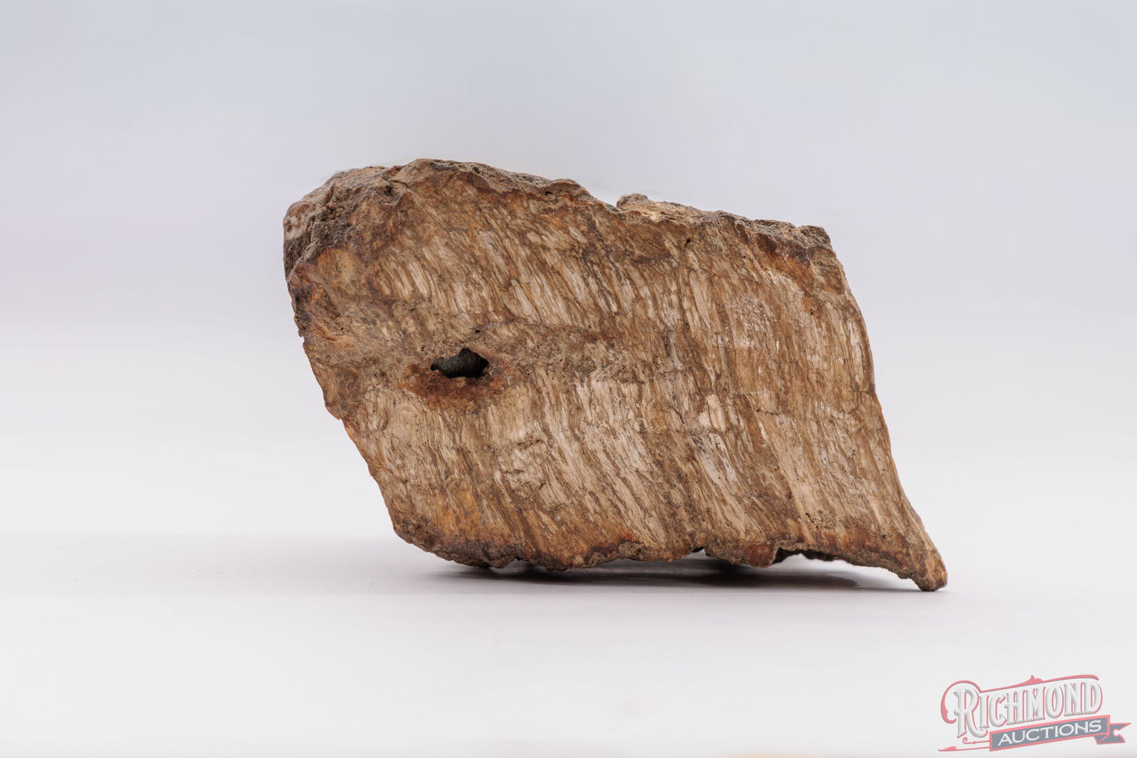 Petrified Wood Piece With Civil War Era Bullet - 3