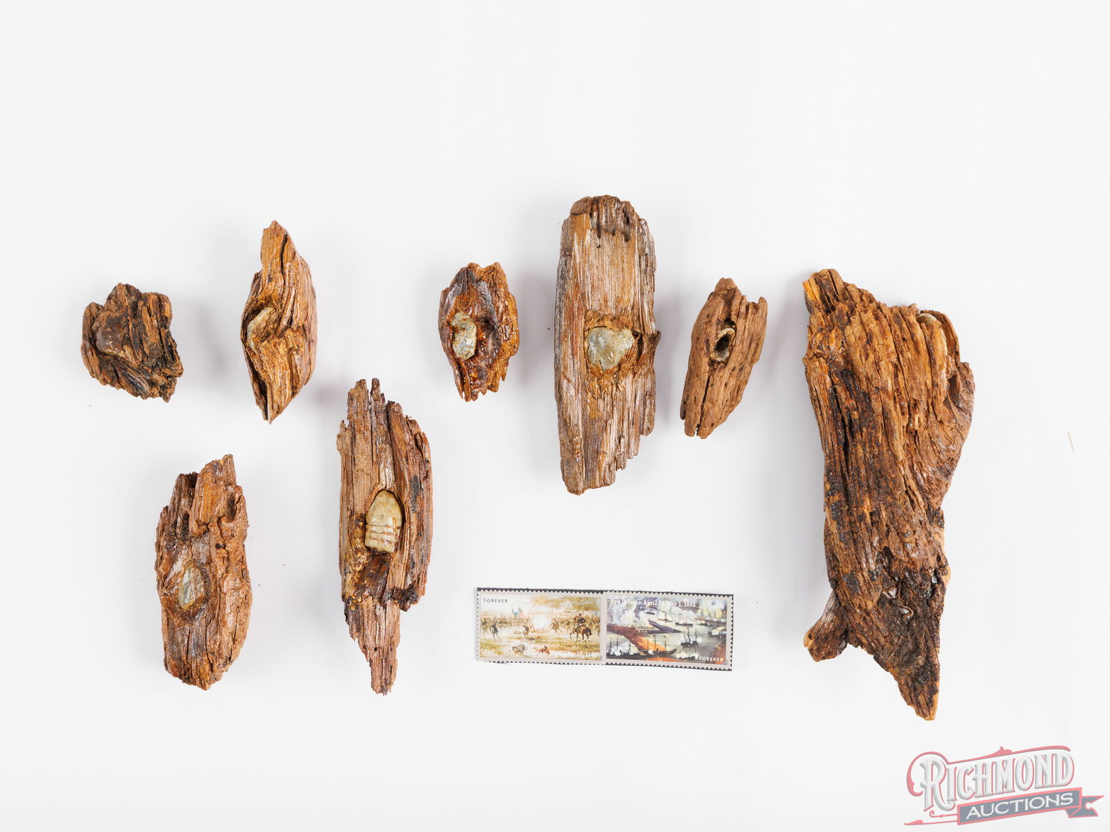 Cased Collection Of Civil War Bullets Lodged In Wooden Pieces - 2