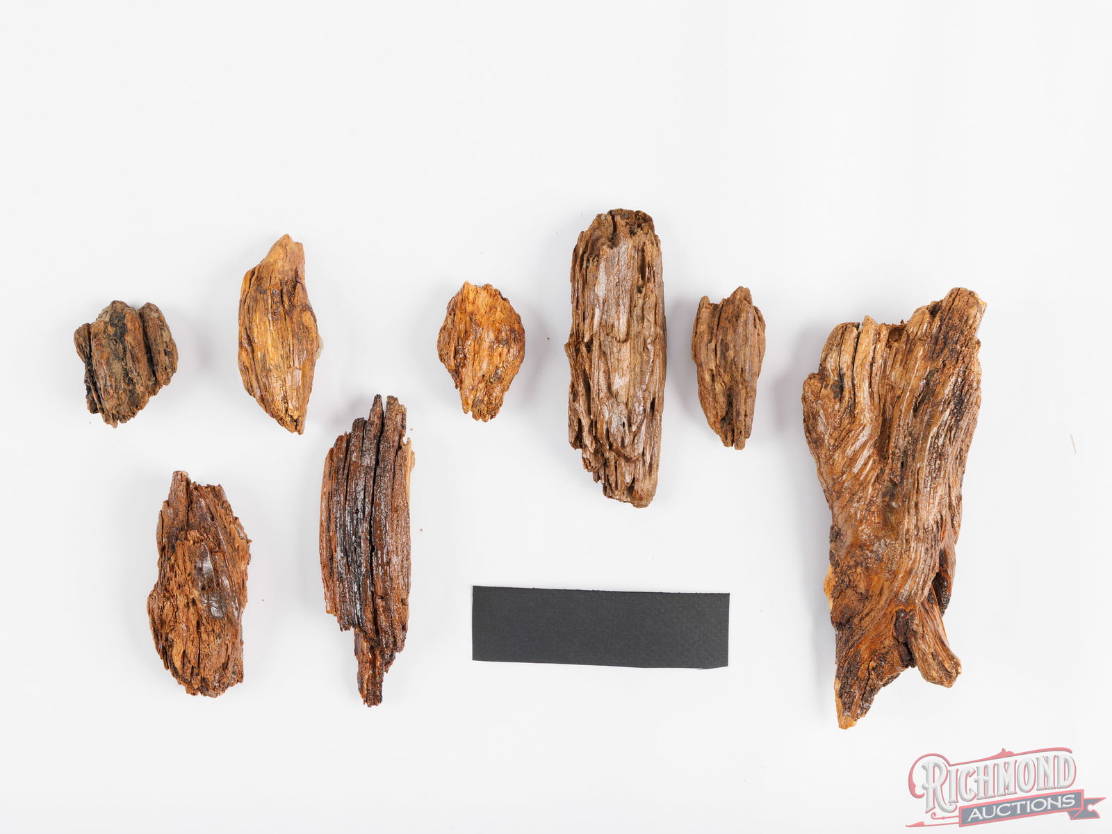 Cased Collection Of Civil War Bullets Lodged In Wooden Pieces - 3