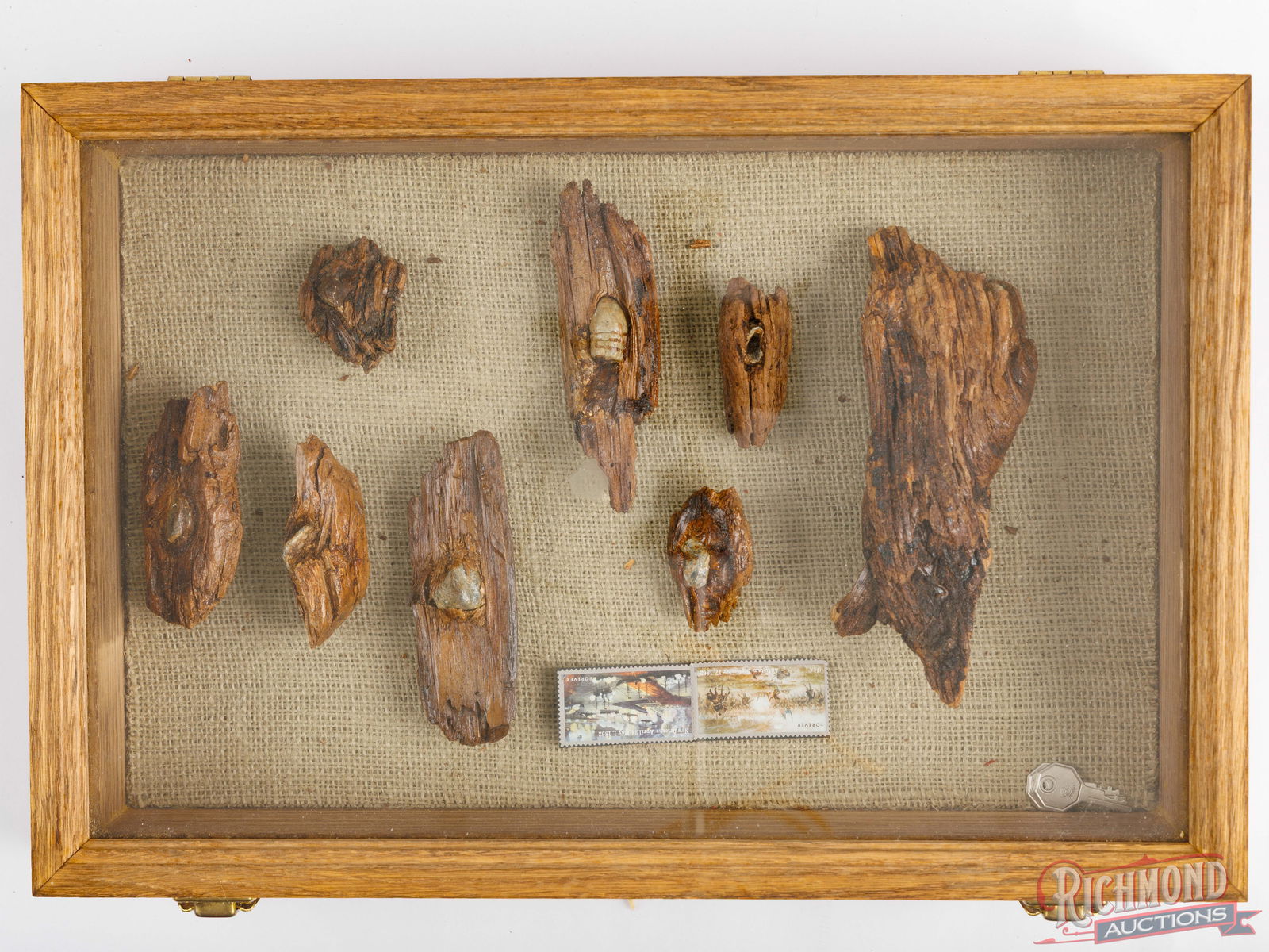 Cased Collection Of Civil War Bullets Lodged In Wooden Pieces - 6