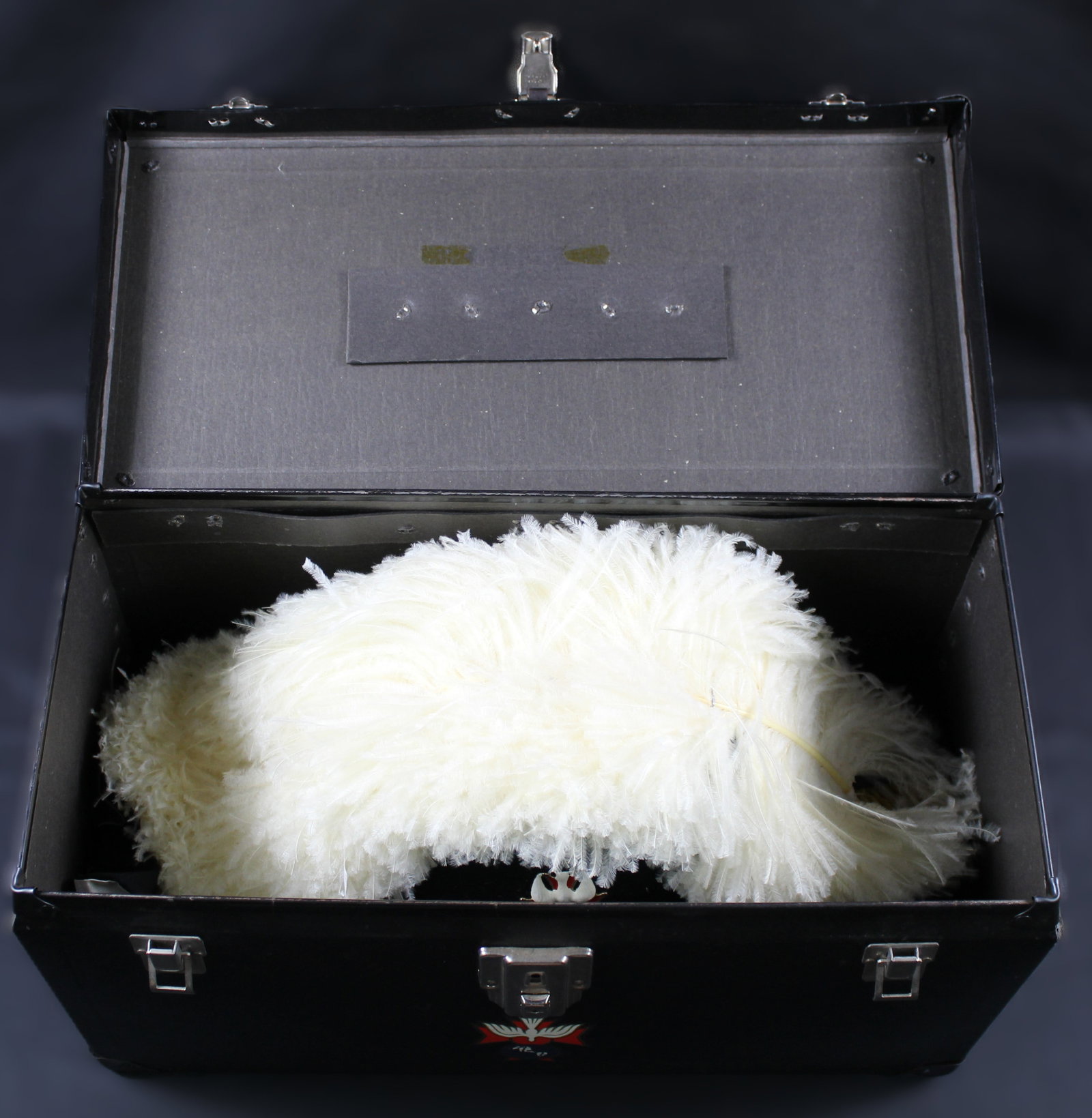 Named, Complete Dress Set and Cover for Knight of Columbus (SAE) - 4