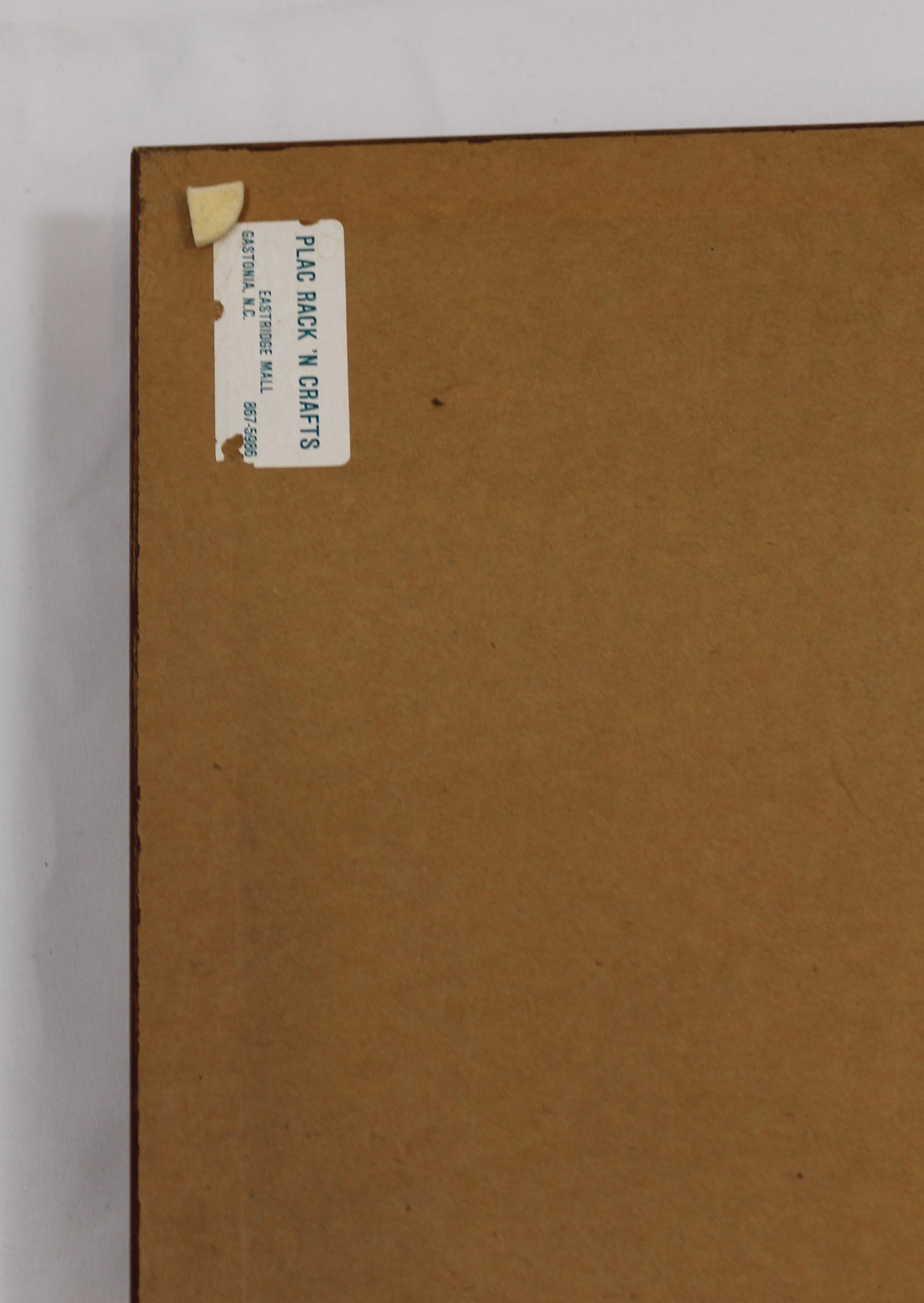 Framed Watercolor Portrait of General McArthur (GCW) - 4