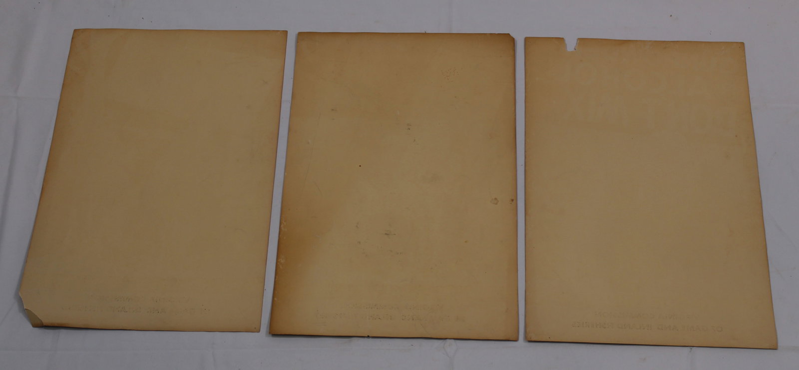 Group Lot of Five Vintage Virginia Commission of Game and Inland Fisheries Posters c.1900 (BJT) - 3