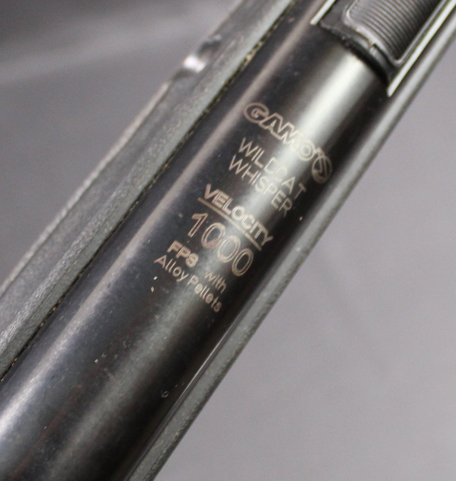 Spanish Manufactured Gamo "Wildcat Whisper" .22 Caliber Pellet Rifle with Scope (LOL) - 7