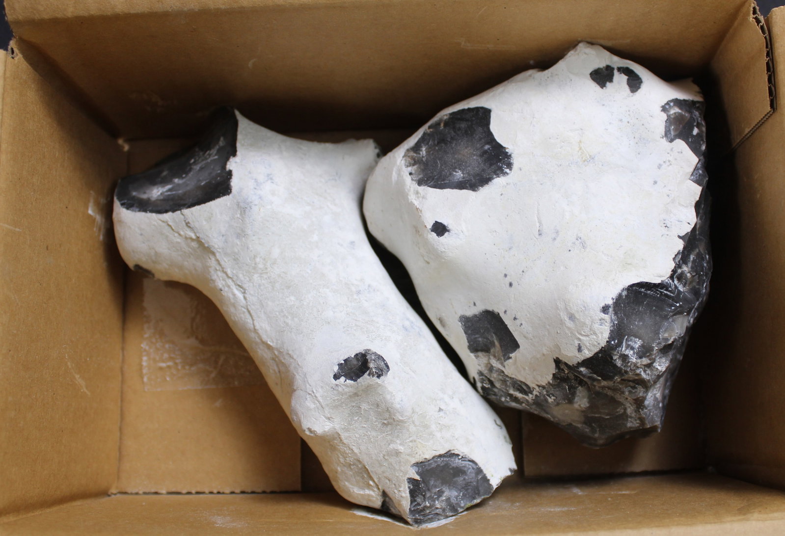 Approximately 7.5lbs Total of Flint Nodule for Knapping (FMI): Description coming soon Bidders are welcome to preview items in person during our normal operating hours Tuesday through Saturday 11am-6pm. Estimated shipping parcel size (LxWxH) 10 inches x 8 inches 